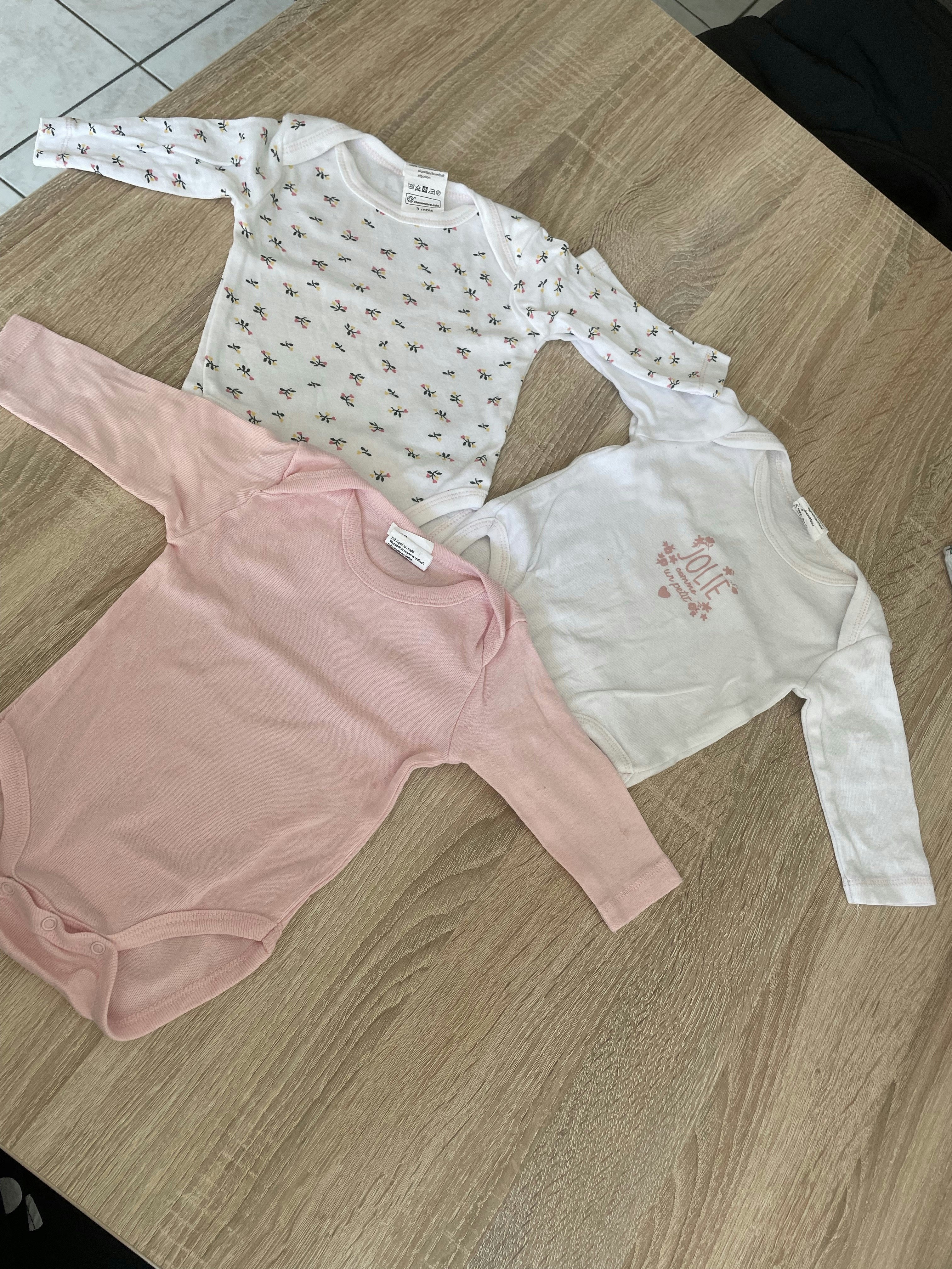Lot 3 bodies