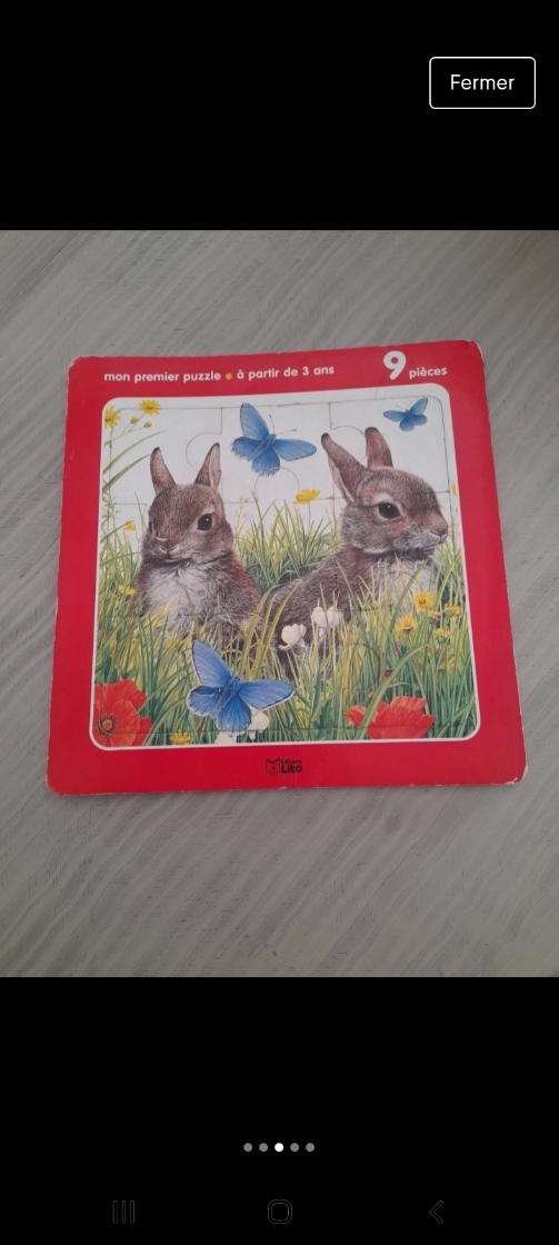 Lots de puzzle - photo numéro 5