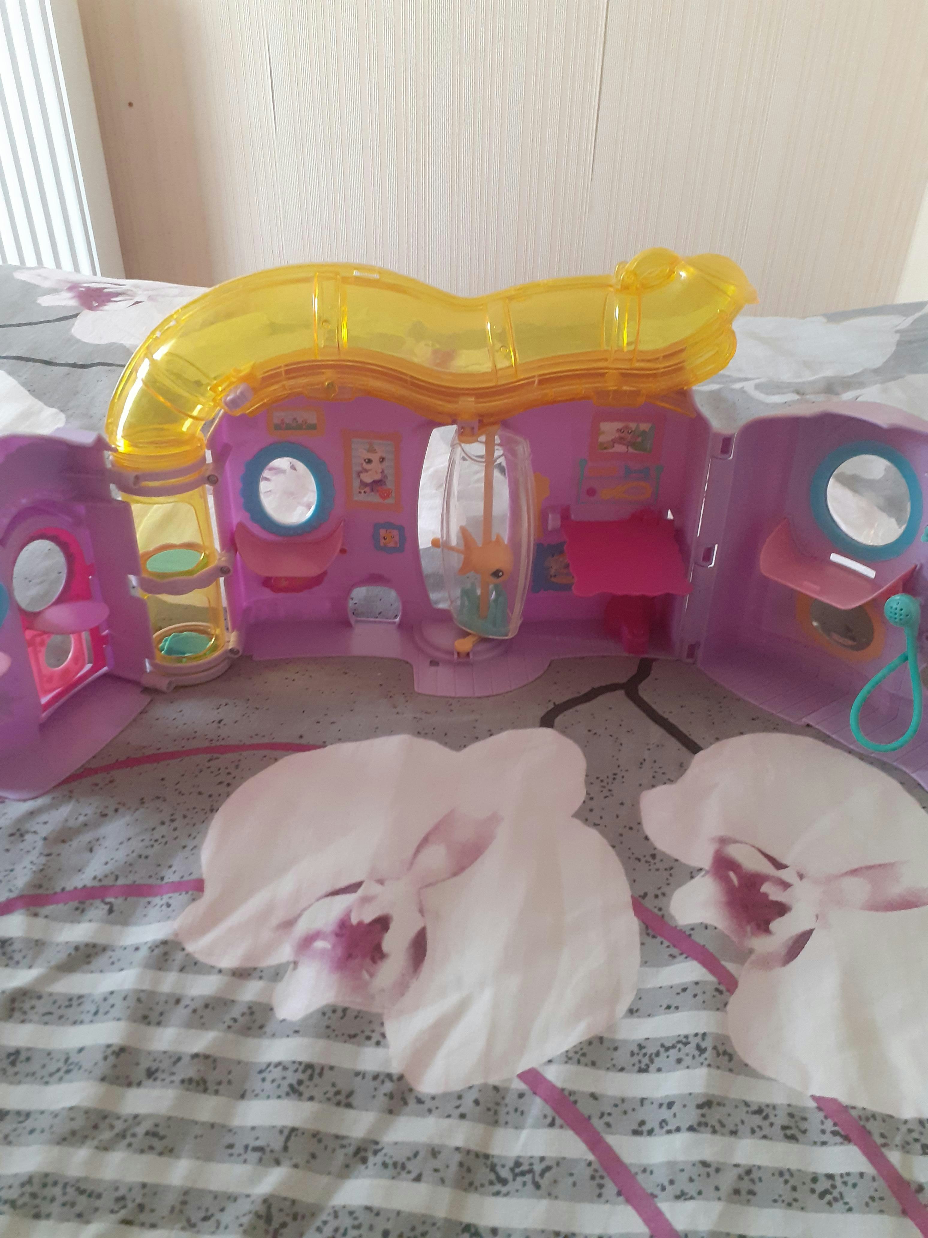 Maison pet shop - photo numéro 2