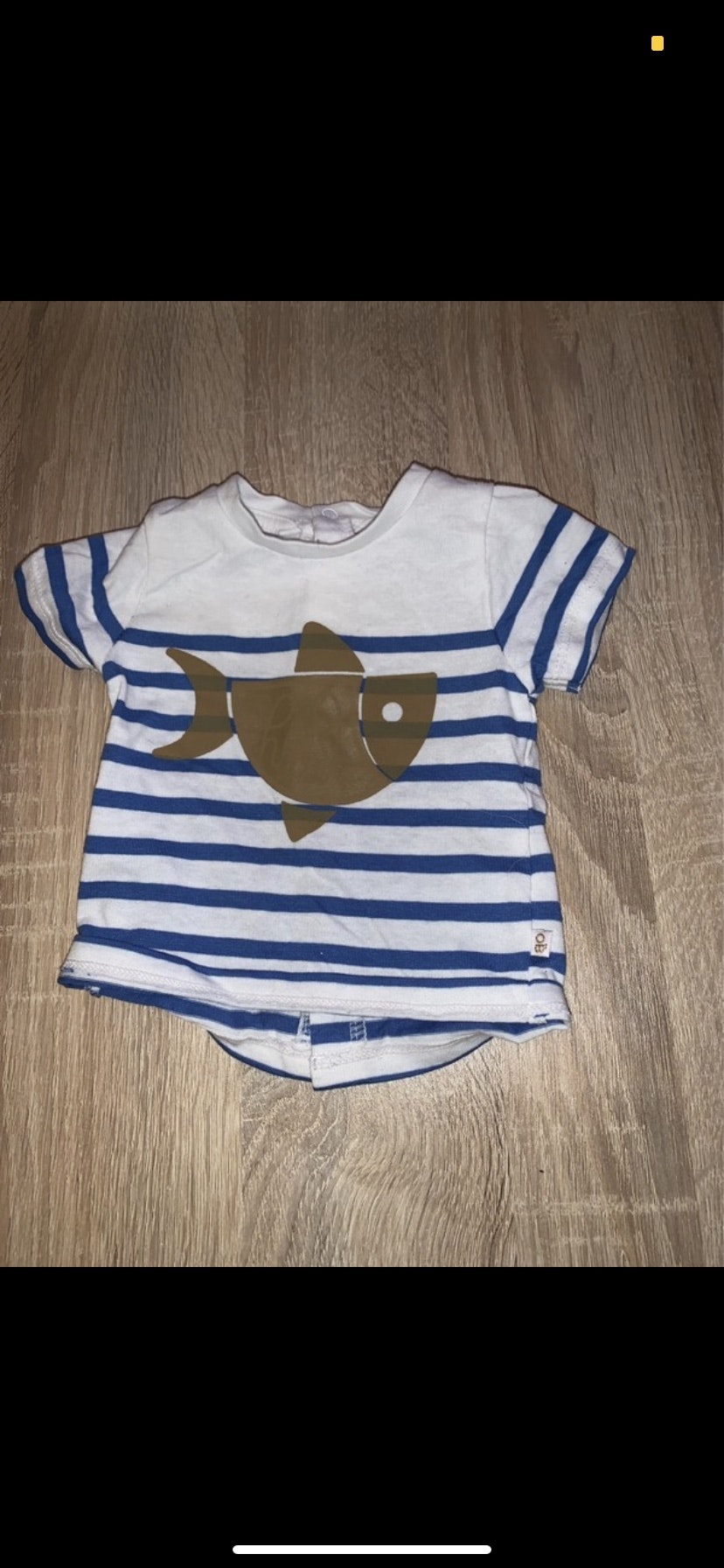Lot tee shirt requin 1mois - photo numéro 3