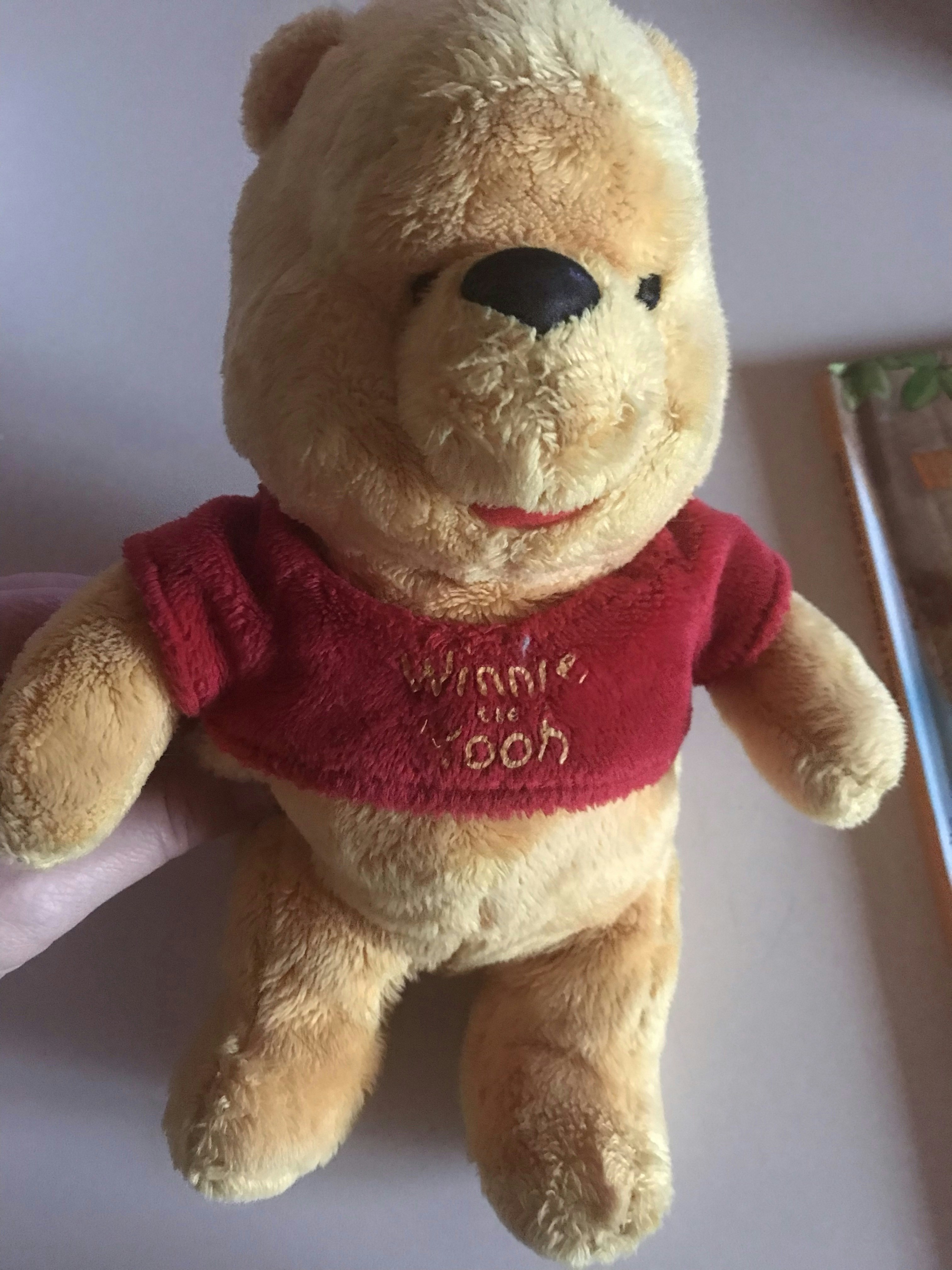 Peluche Winnie Disney