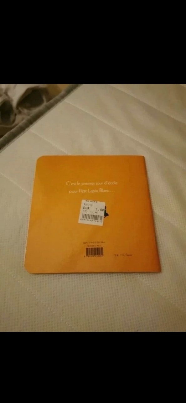 Livre petit lapin - photo numéro 3
