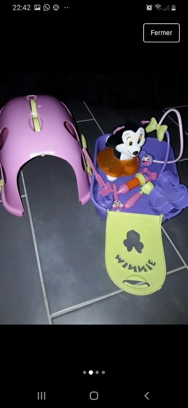 Set Veterinaire Chat Minnie Disney Beebs Achat Vente Bebe