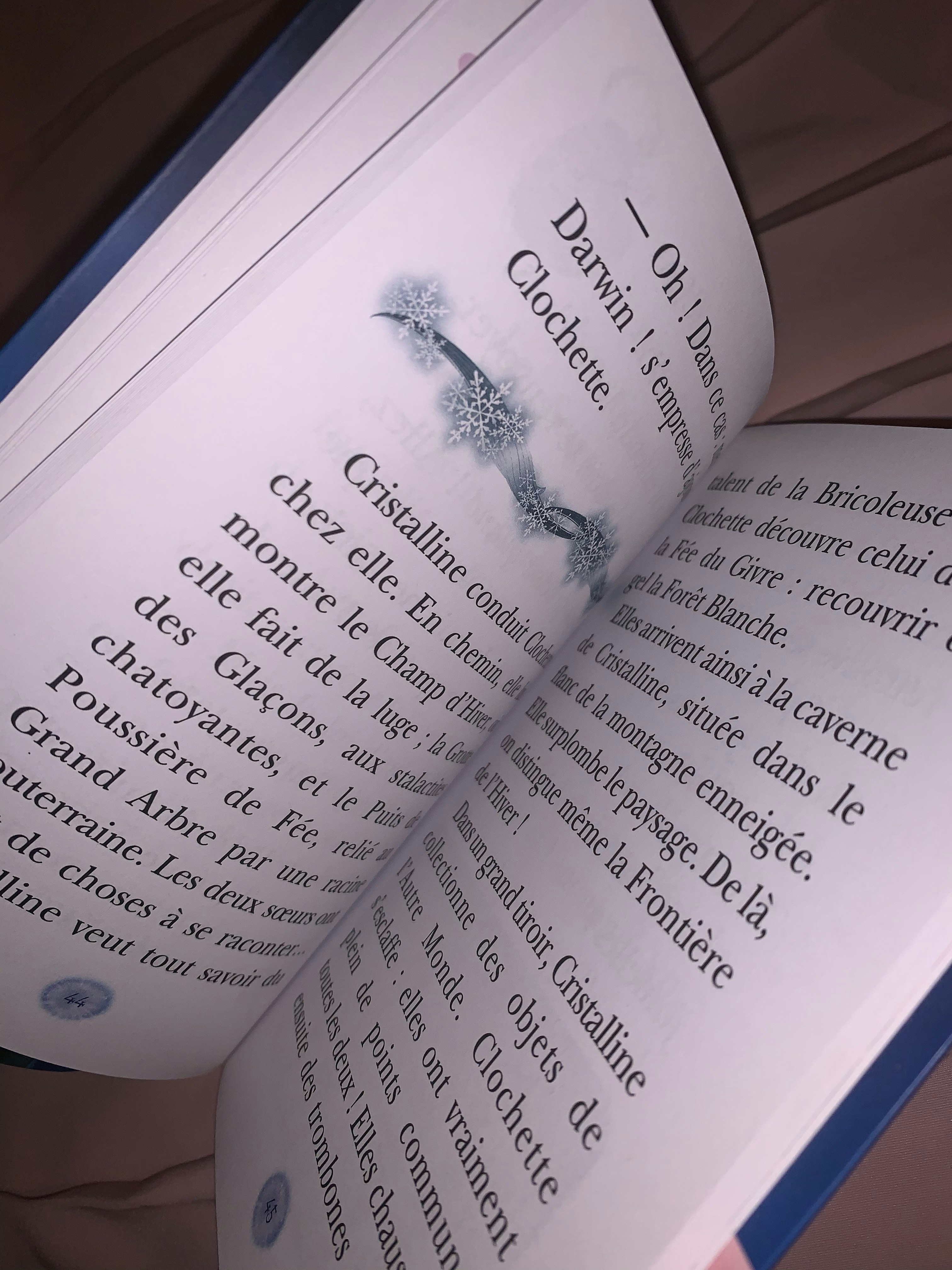 Livre - Fées clochettes - photo numéro 2