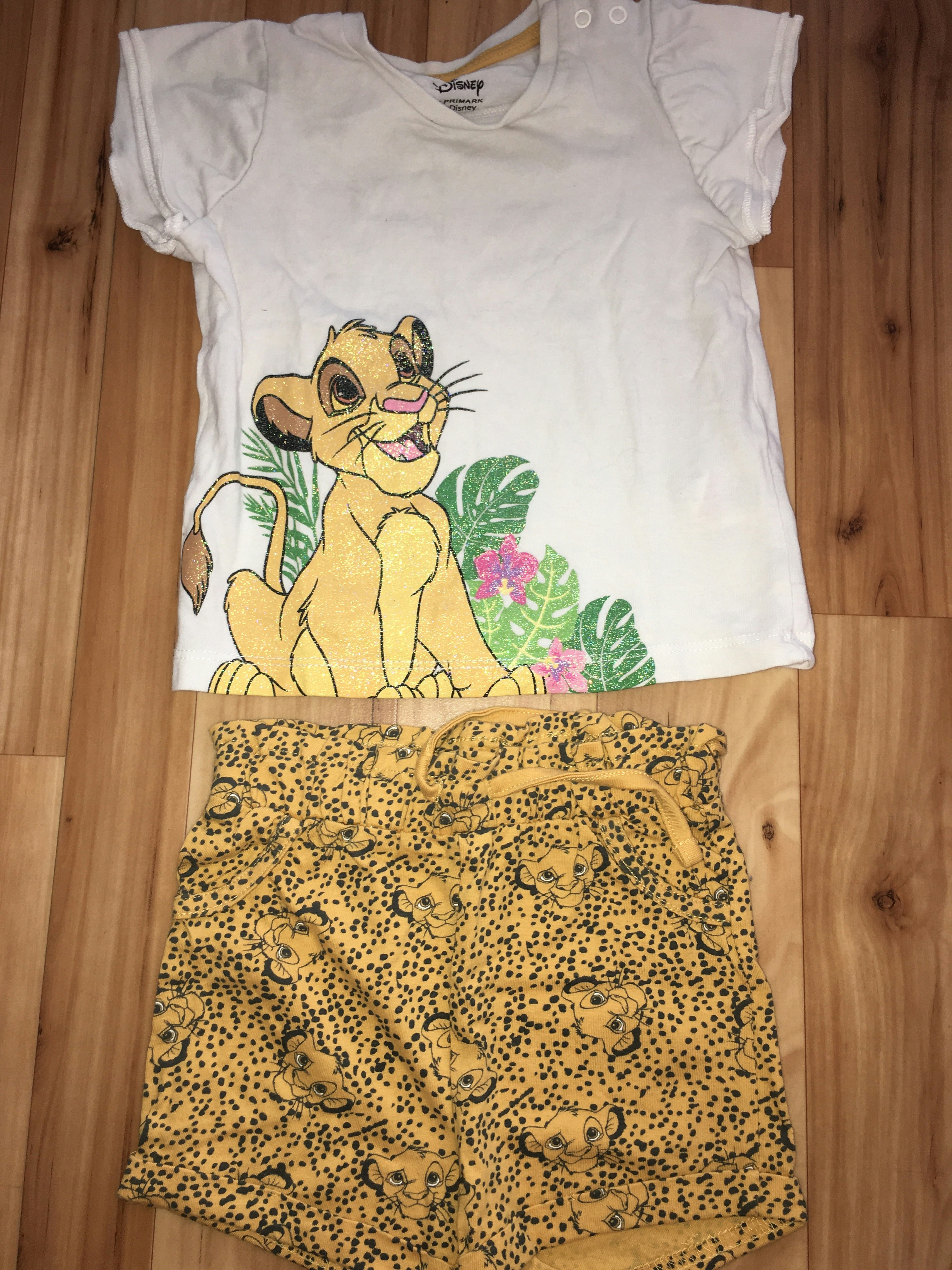 Ensemble bb le roi lion