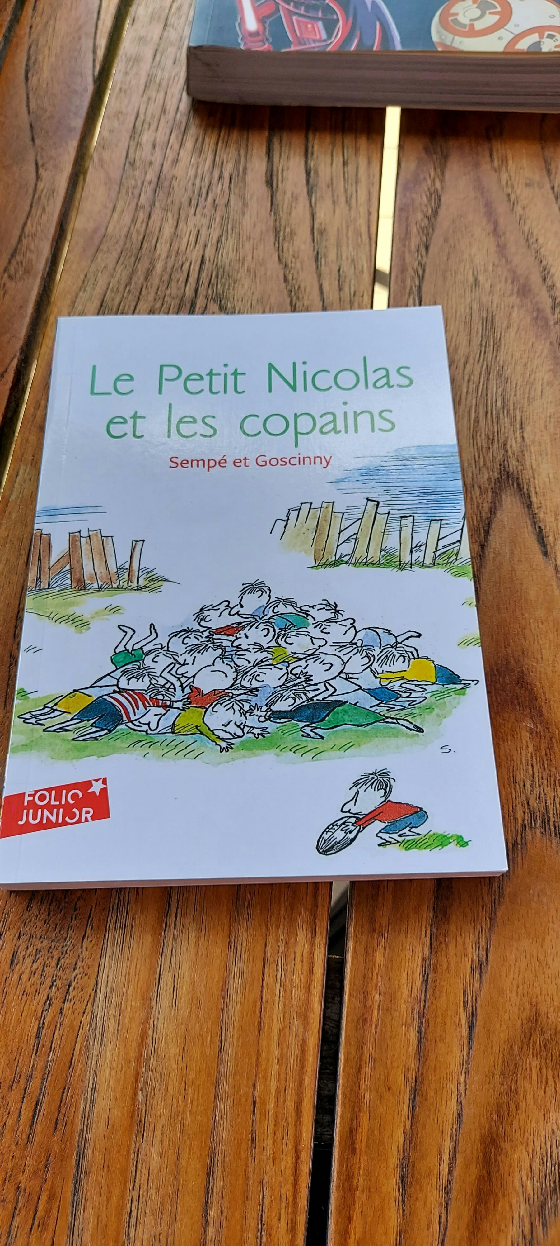 Le Petit Nicolas et les copains