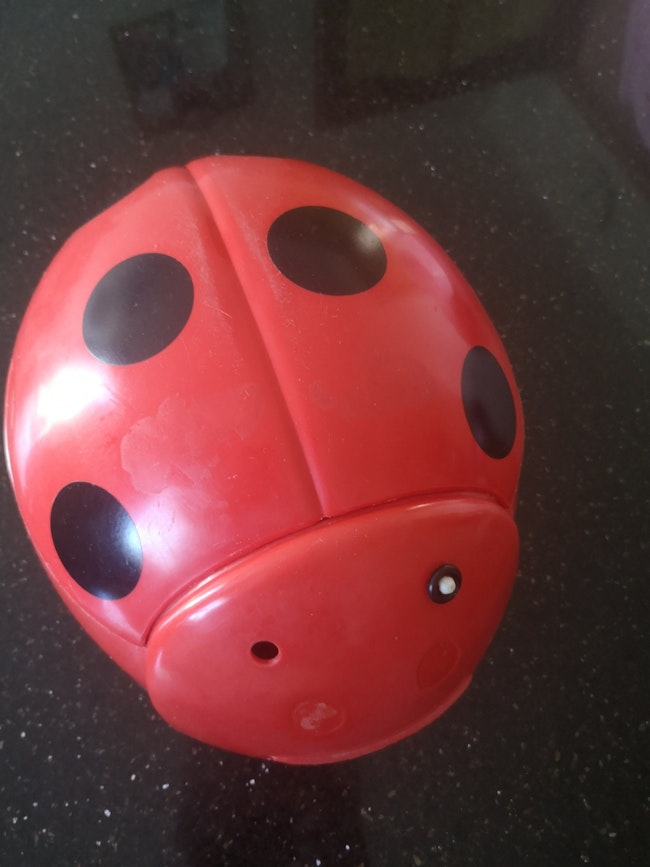 Pot Bebe Coccinelle Et Son Couvercle Beebs Achat Vente Bebe Enfant