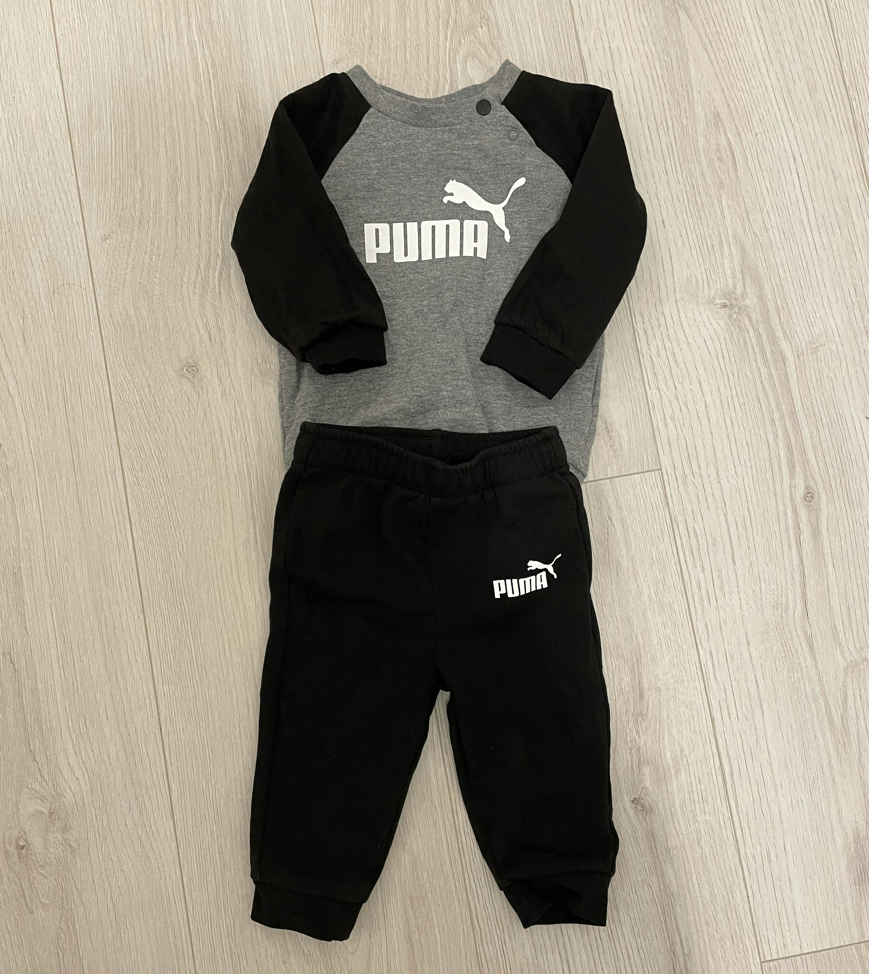 Ensemble puma