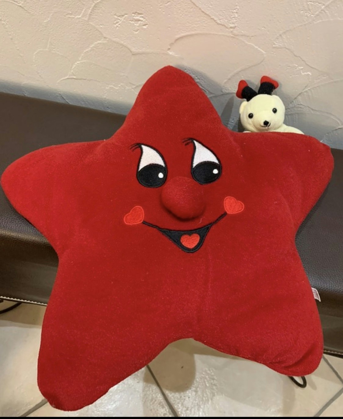 Coussin étoile rouge