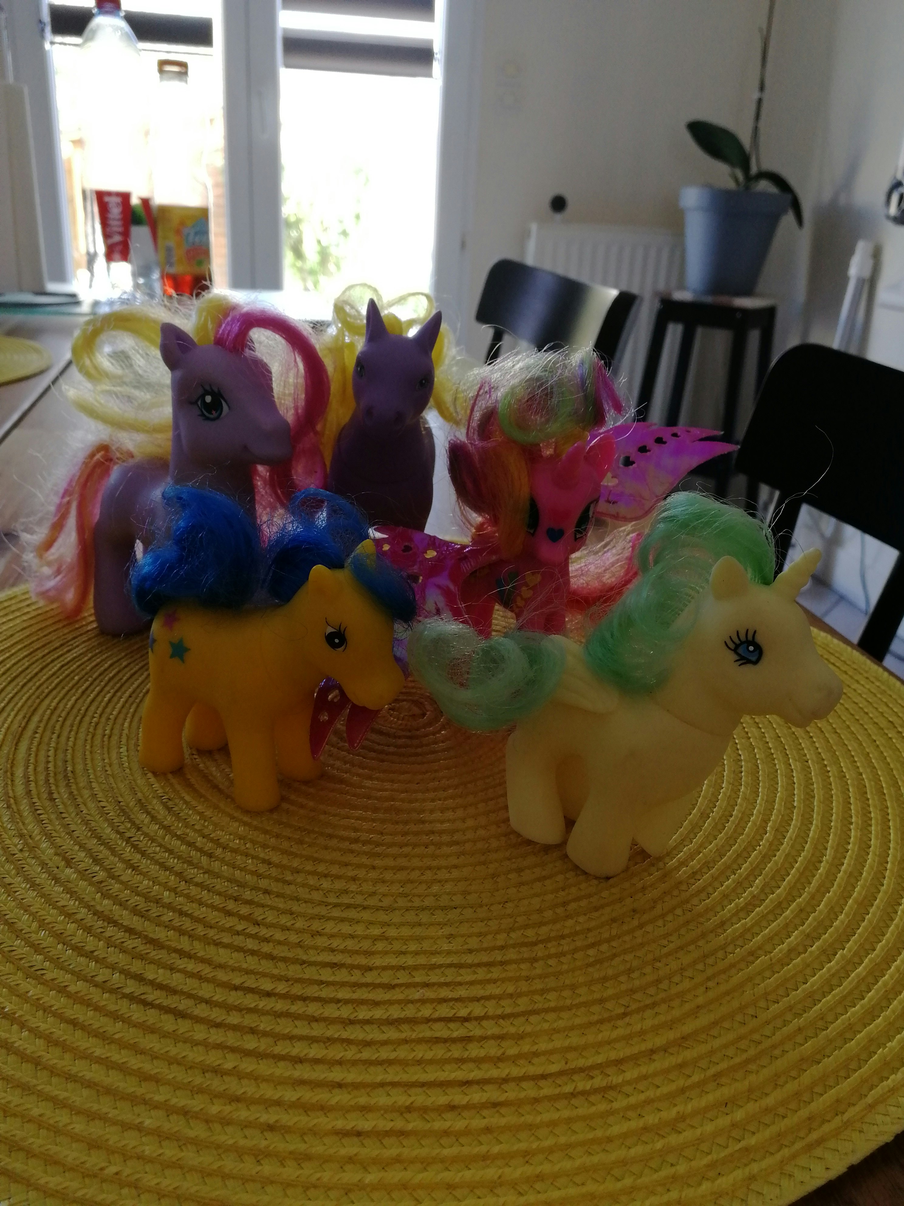 Lot Poneys