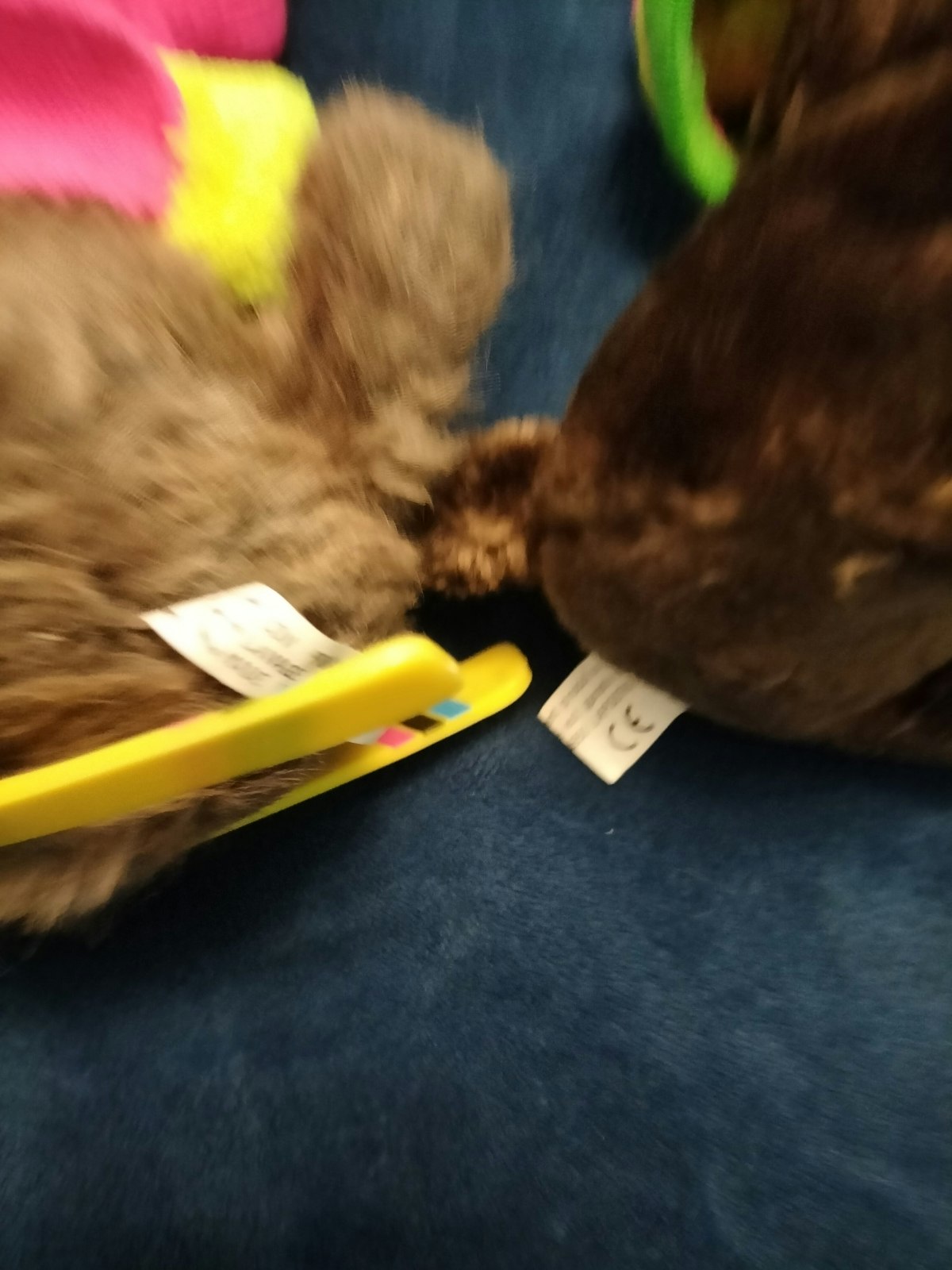 Lot de 2 peluches - photo numéro 4