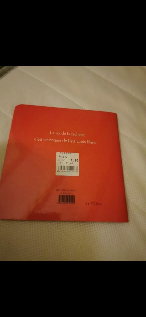 Livre petit lapin - photo numéro 4
