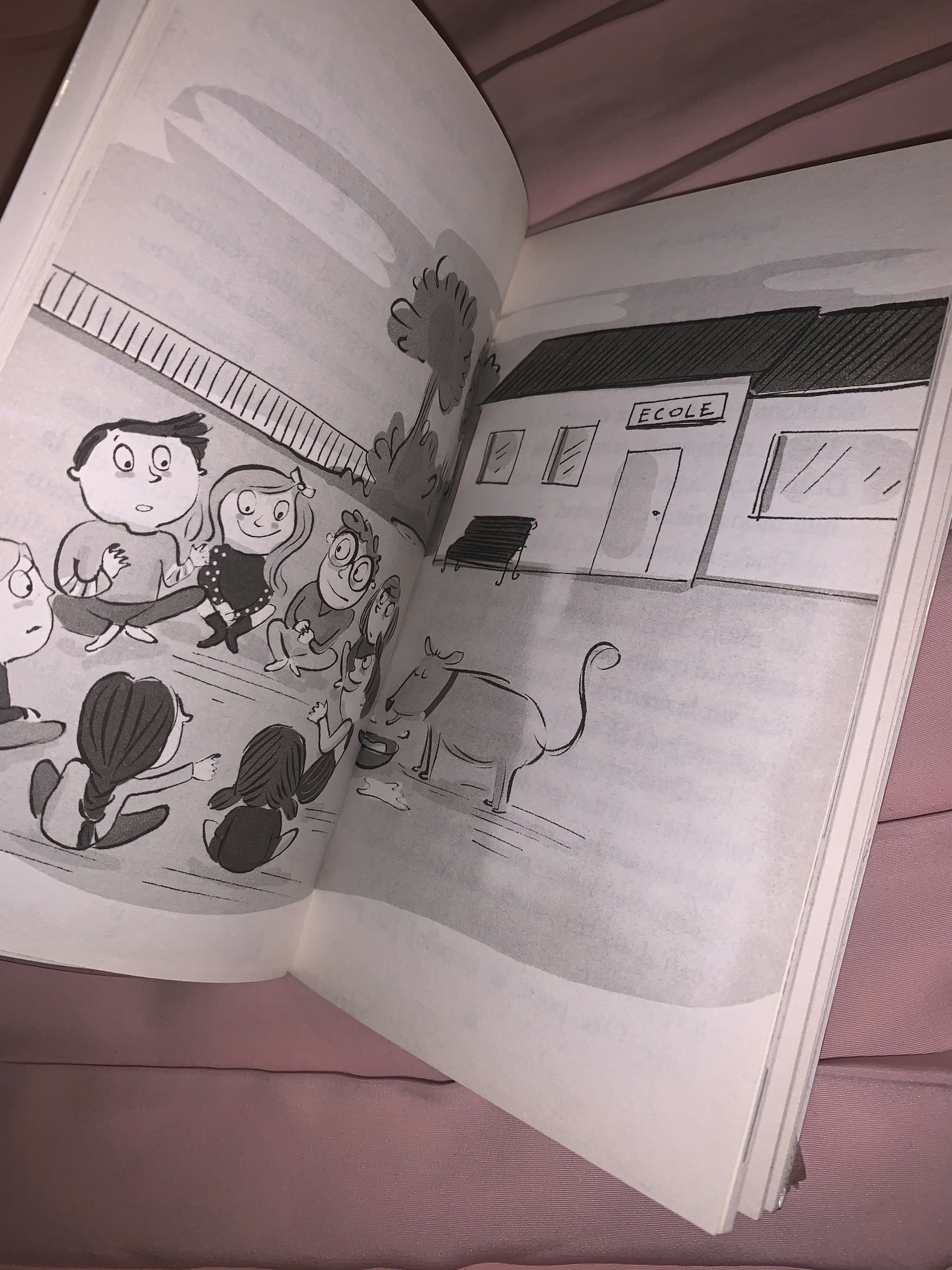 Livre - photo numéro 3
