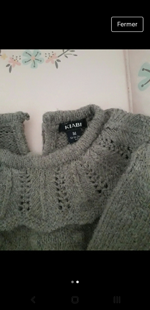 Petit pull - photo numéro 2