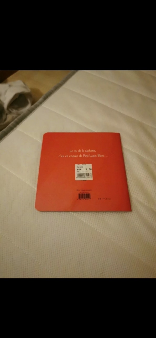 Livre petit lapin - photo numéro 3