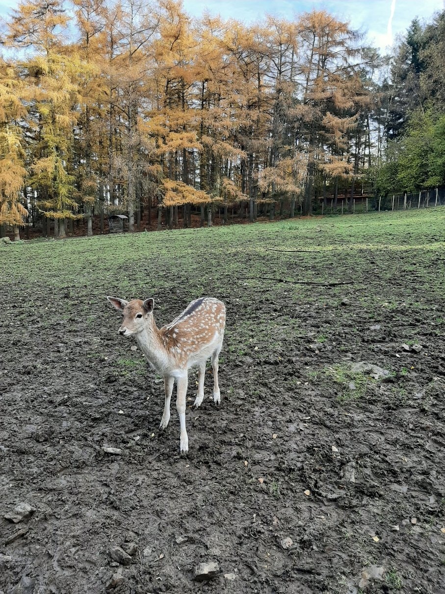 profil du vendeur