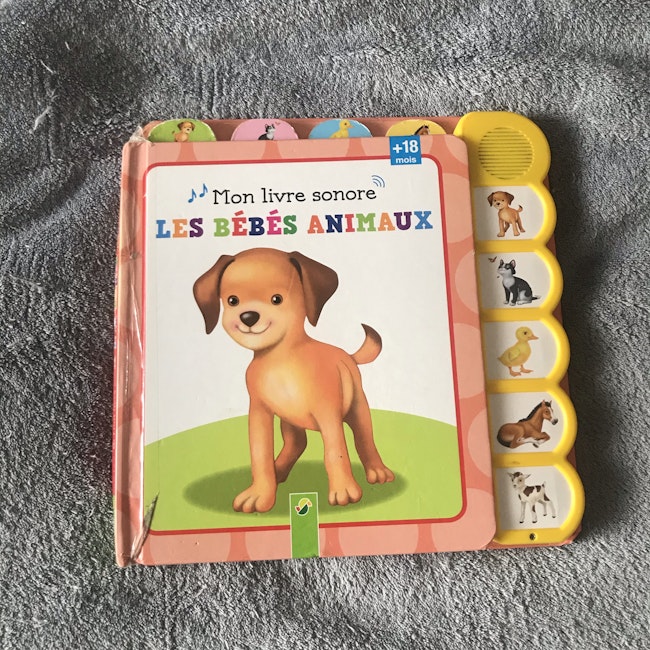 Livre Beebs Achat Vente Bebe Enfant