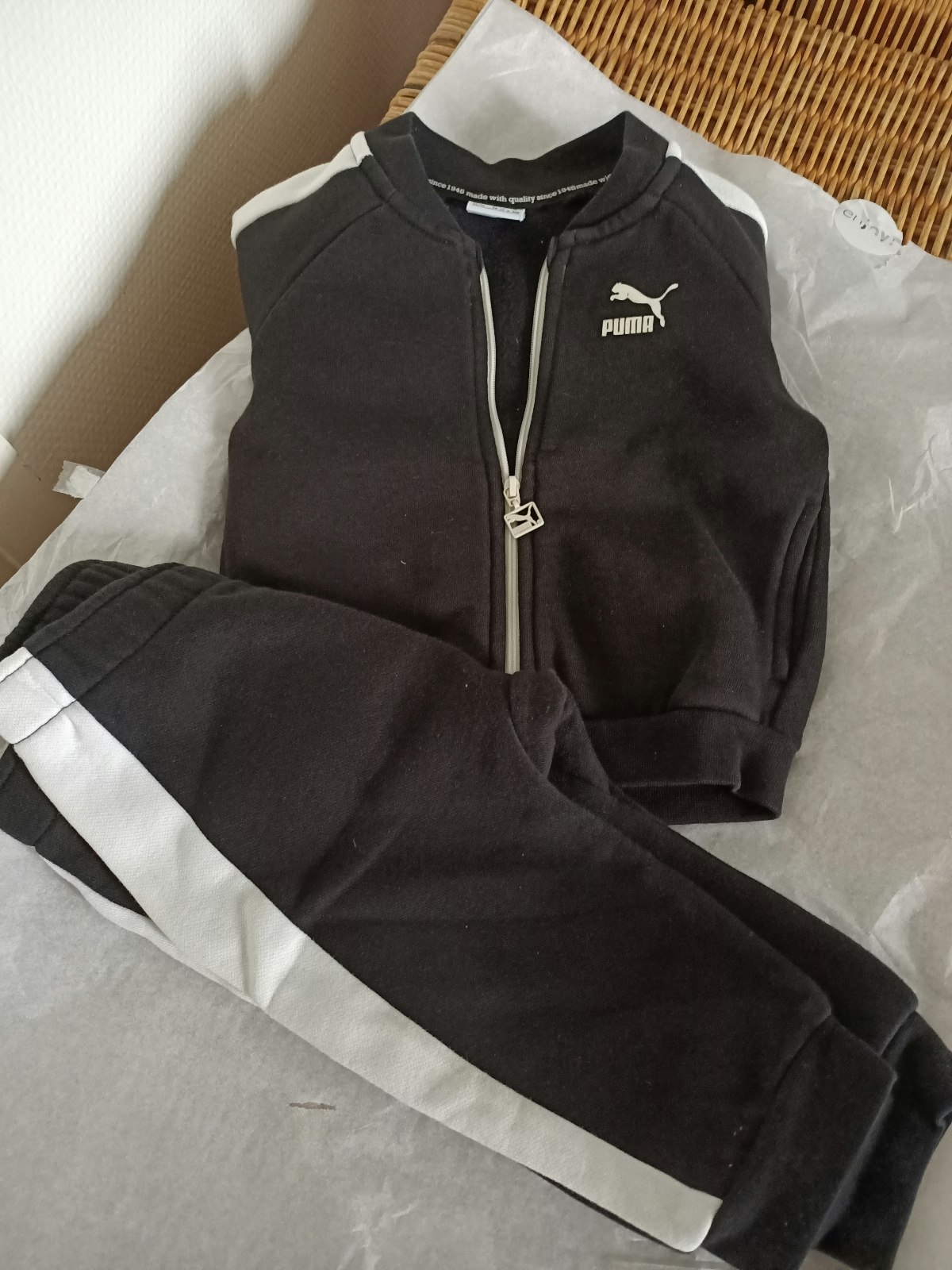 Jogging puma