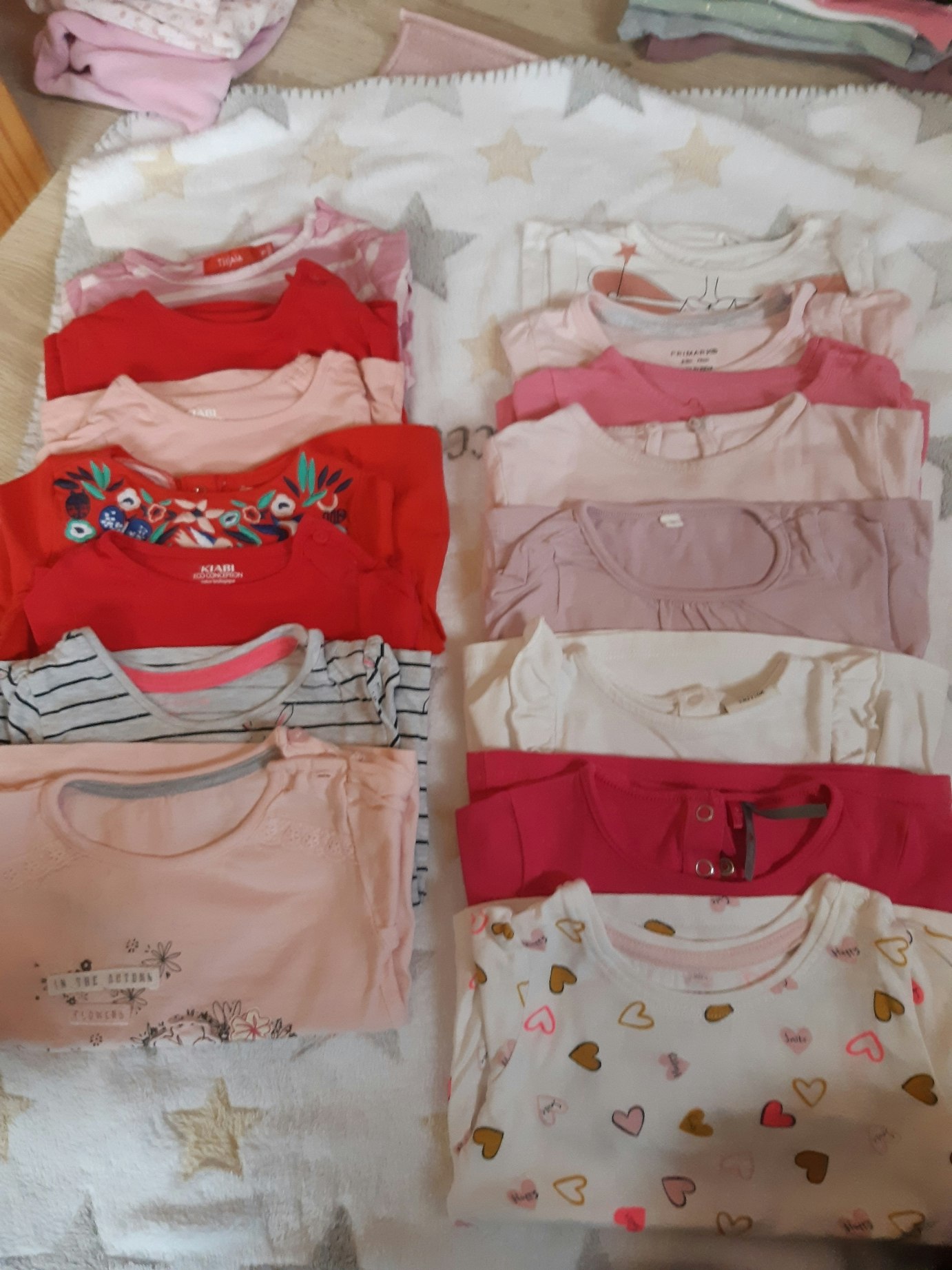 16 Tshirt manche longues 9mois