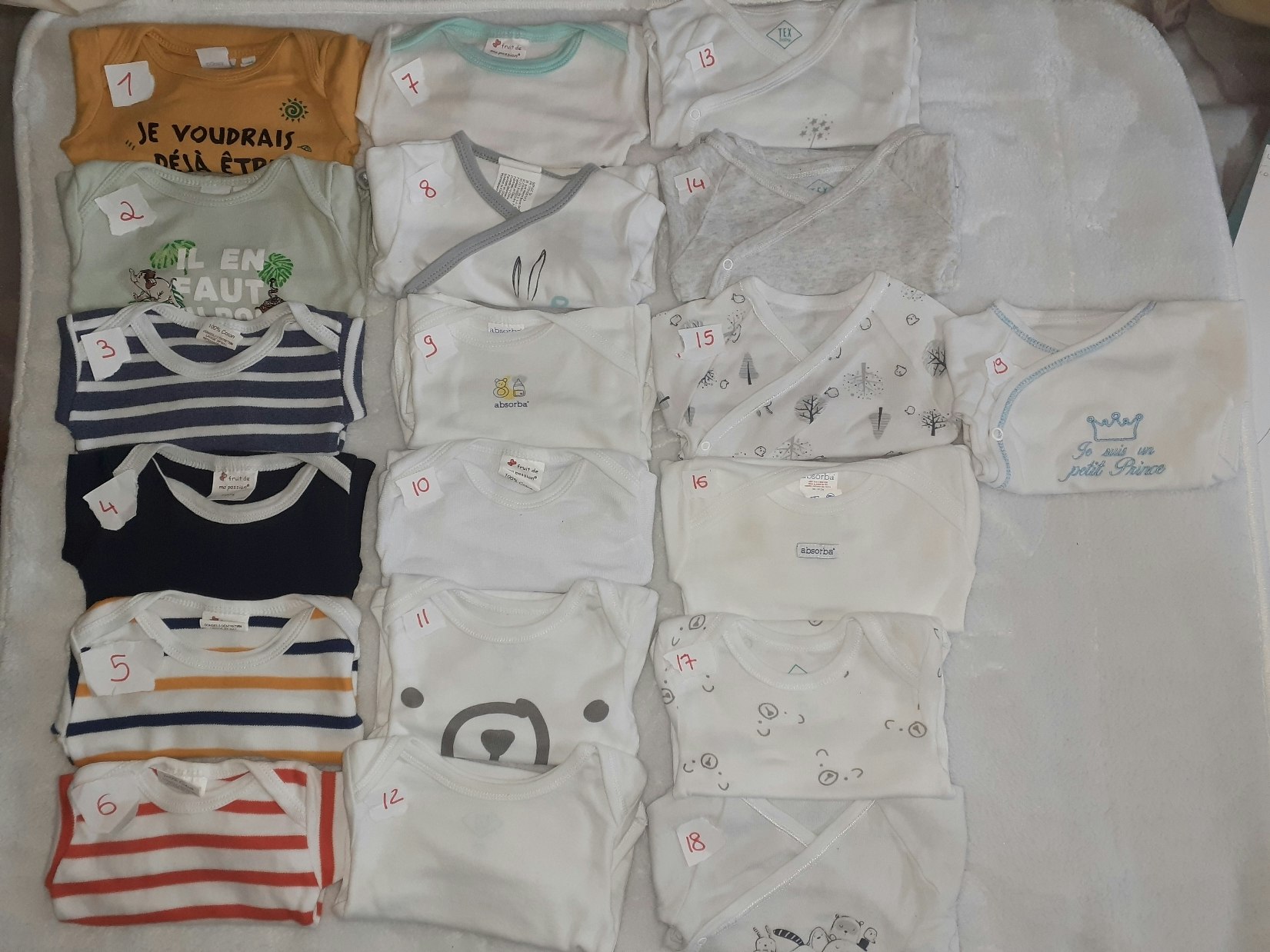 Lot 19 Body
