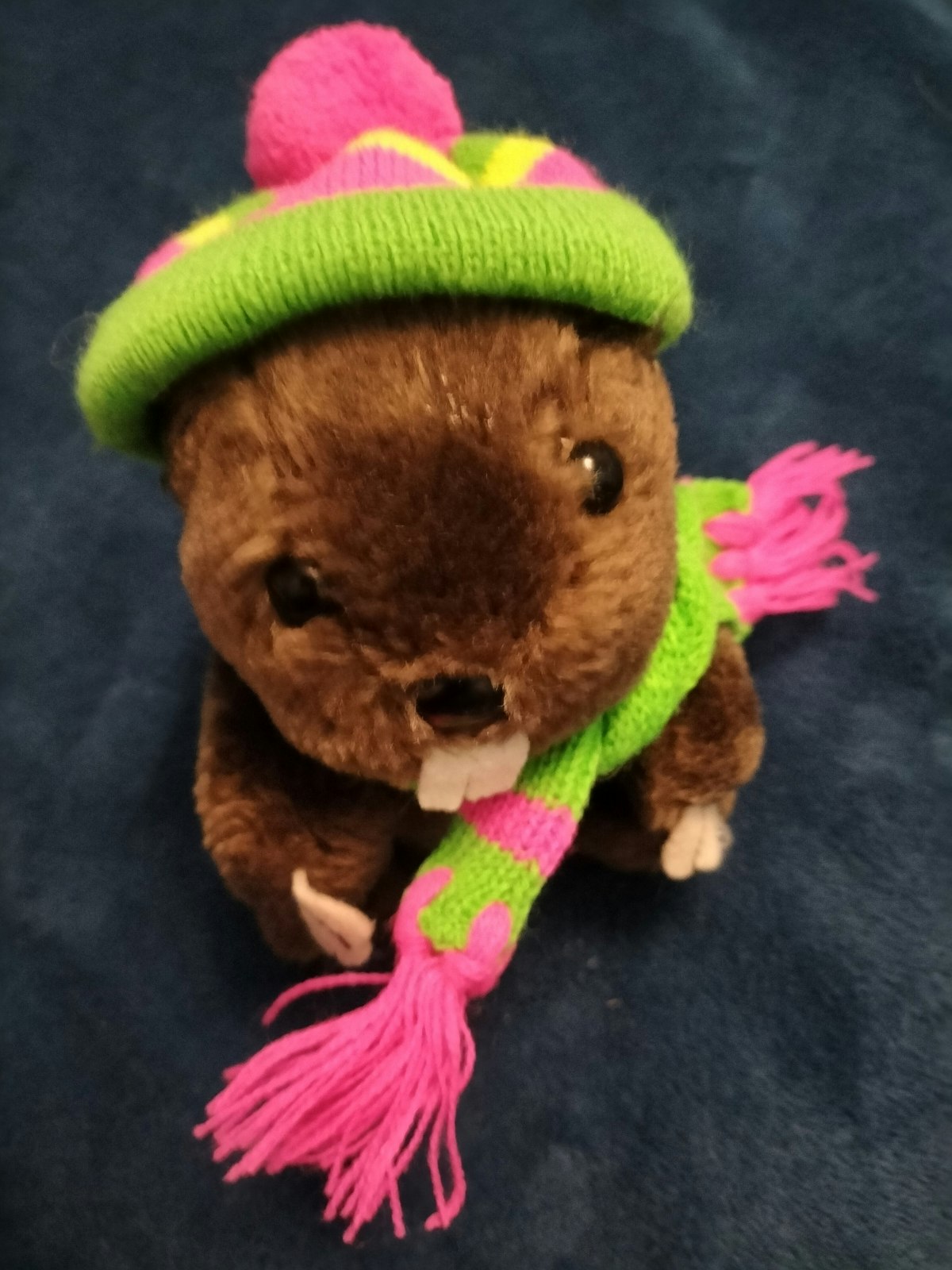 Lot de 2 peluches - photo numéro 3