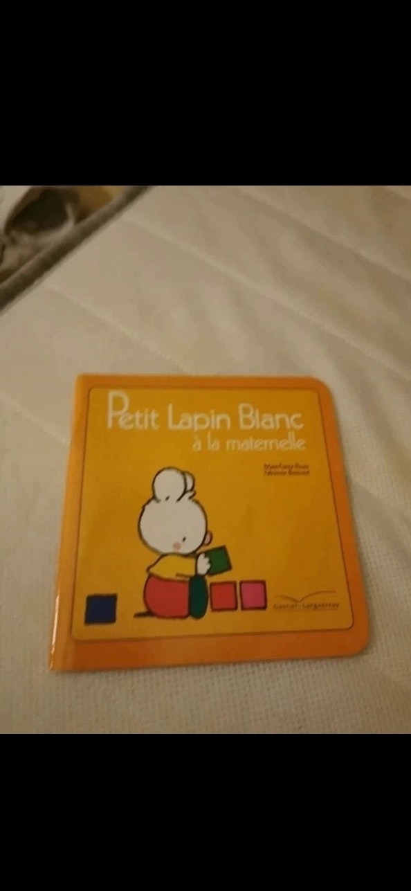 Livre petit lapin