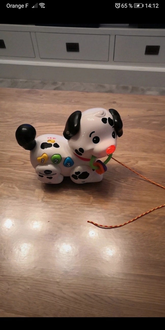 Chien Dalmatien Beebs Achat Vente Bebe