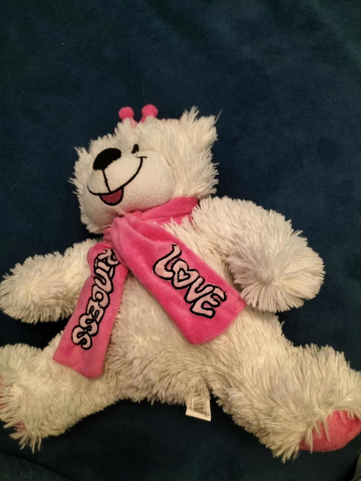 Ours en peluche - photo numéro 2