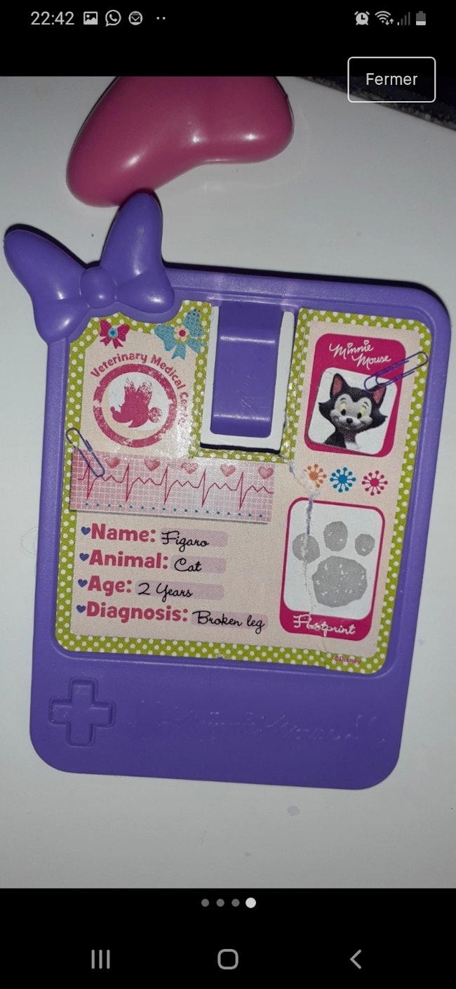 Set Veterinaire Chat Minnie Disney Beebs Achat Vente Bebe