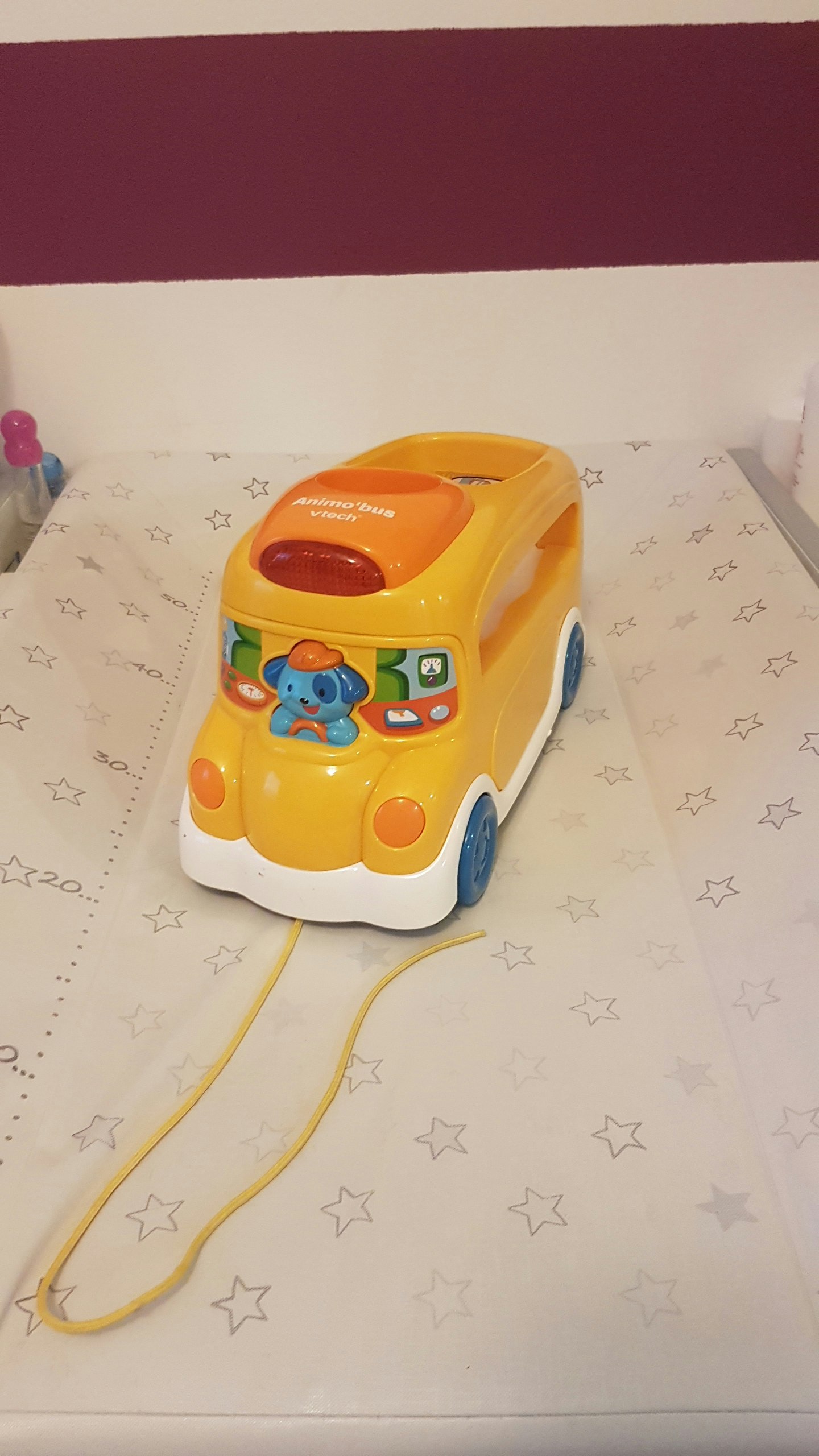 Bus à tirer - photo numéro 2