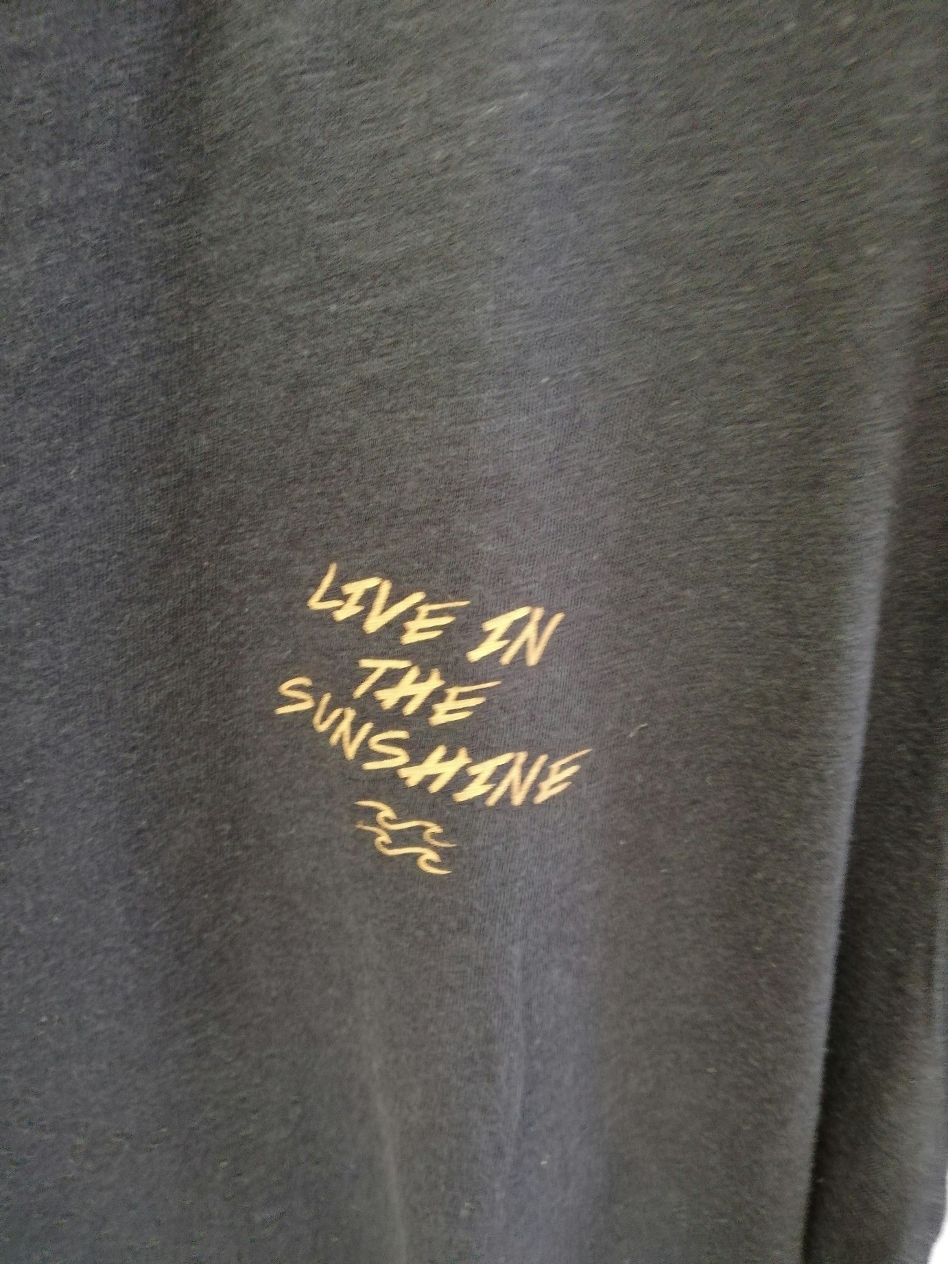 Tee-shirt t shirt billabong avec palmier dorée live in the sunshine - photo numéro 3
