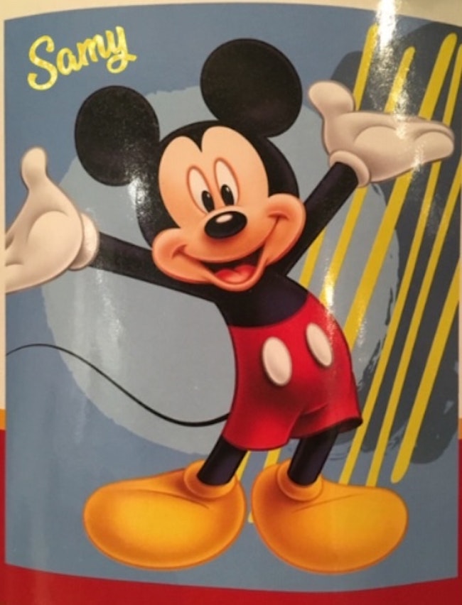 Grand Plaid Mickey Disney Prenom Beebs Achat Vente Bebe Enfant