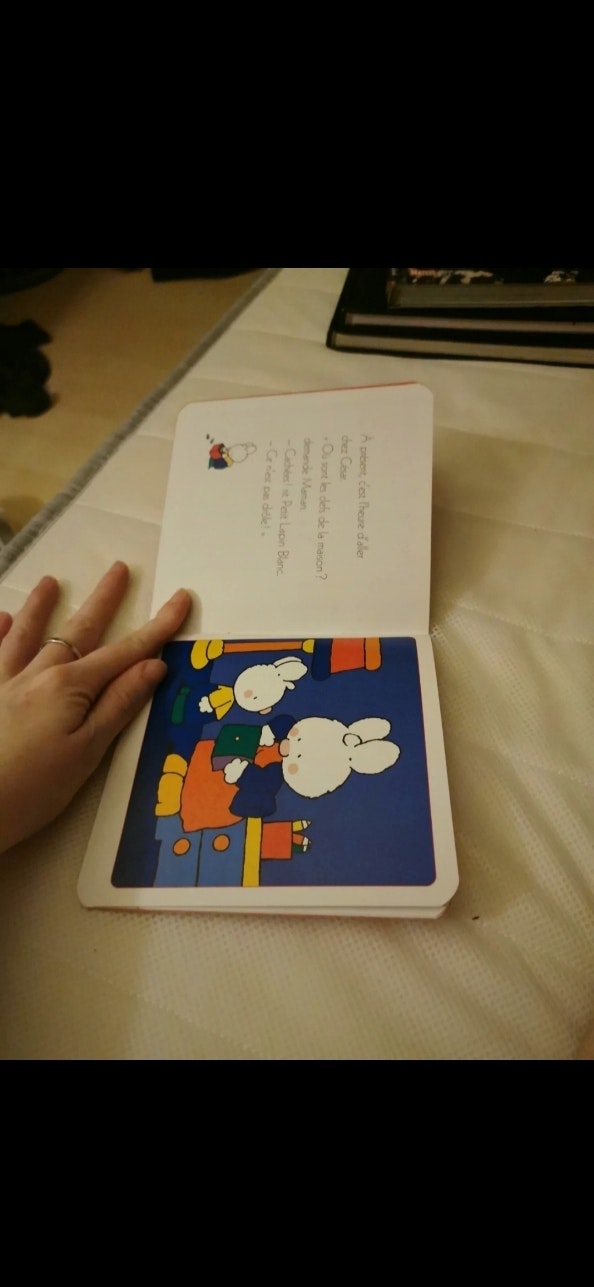 Livre petit lapin - photo numéro 5