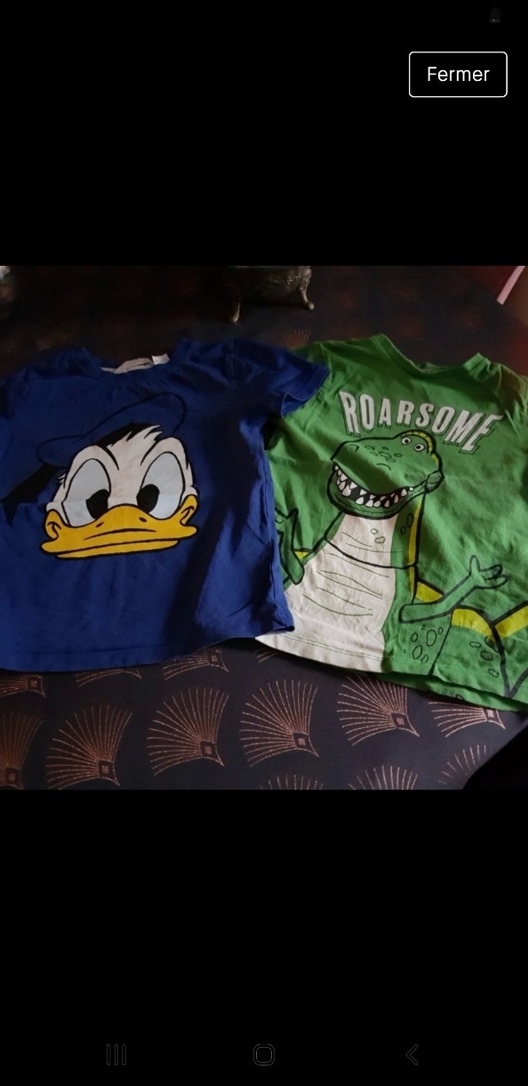 Lot de 2 tee-shirts