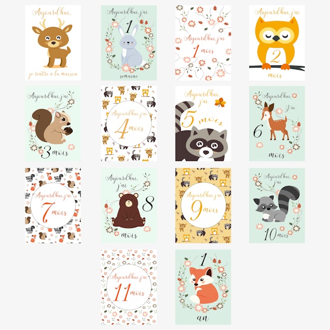 Carte Etape Bebe Animaux Beebs Achat Vente Bebe