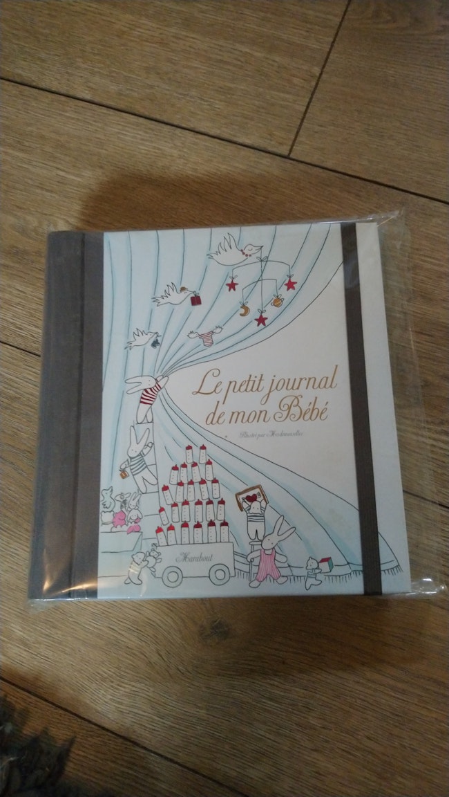 Journal De Bebe Beebs Achat Vente Bebe Enfant