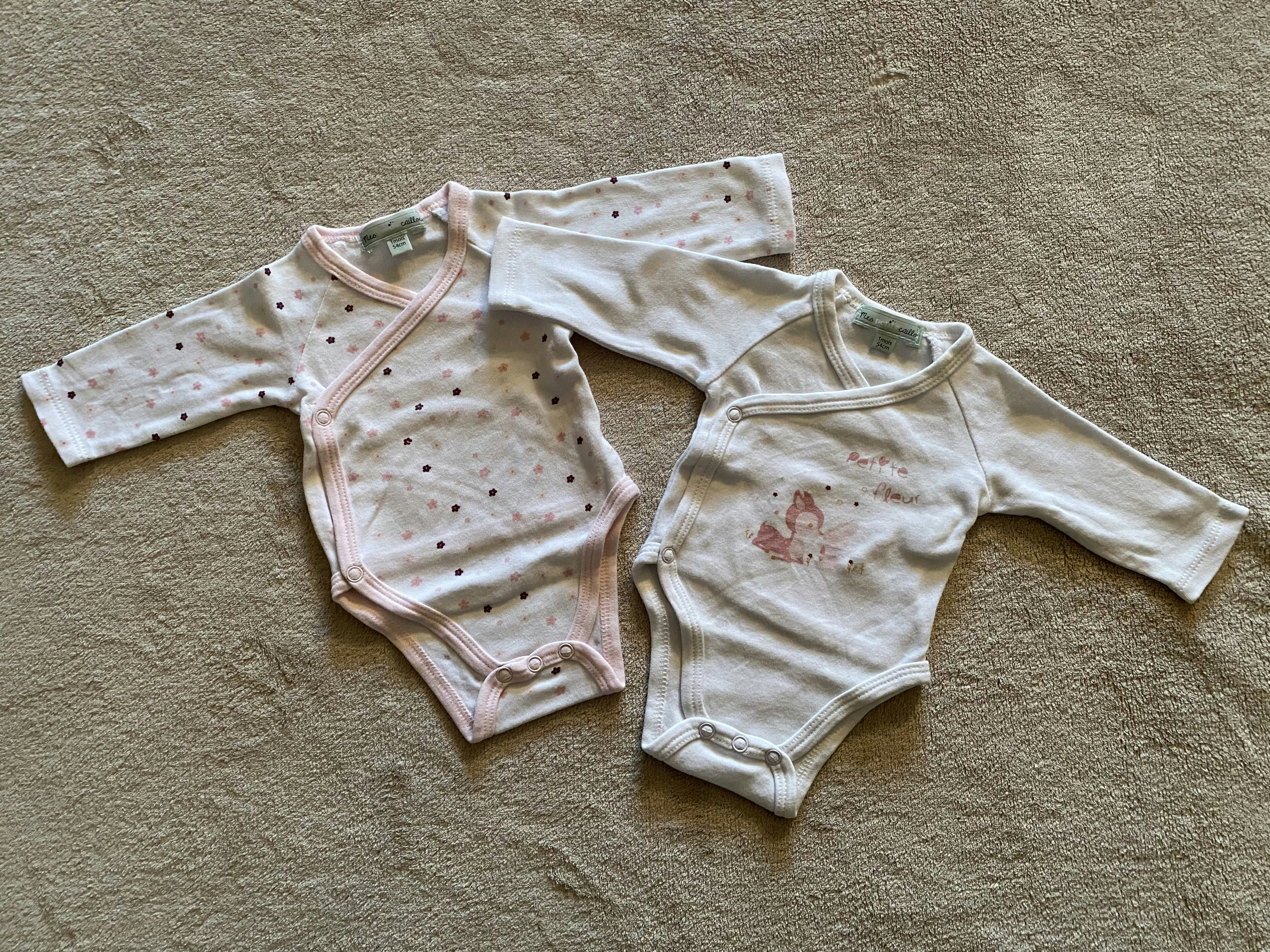 Lot de 2 bodys bébé fillle