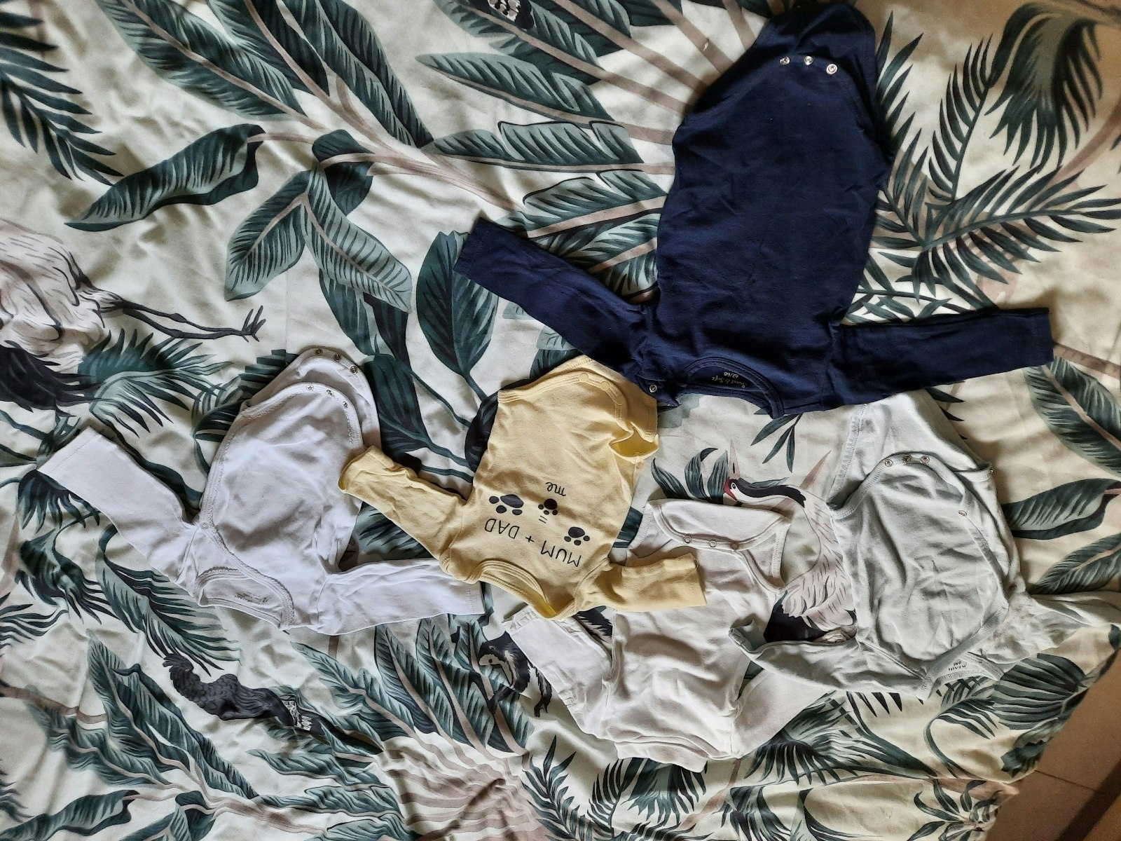 Lot 5 bodies
