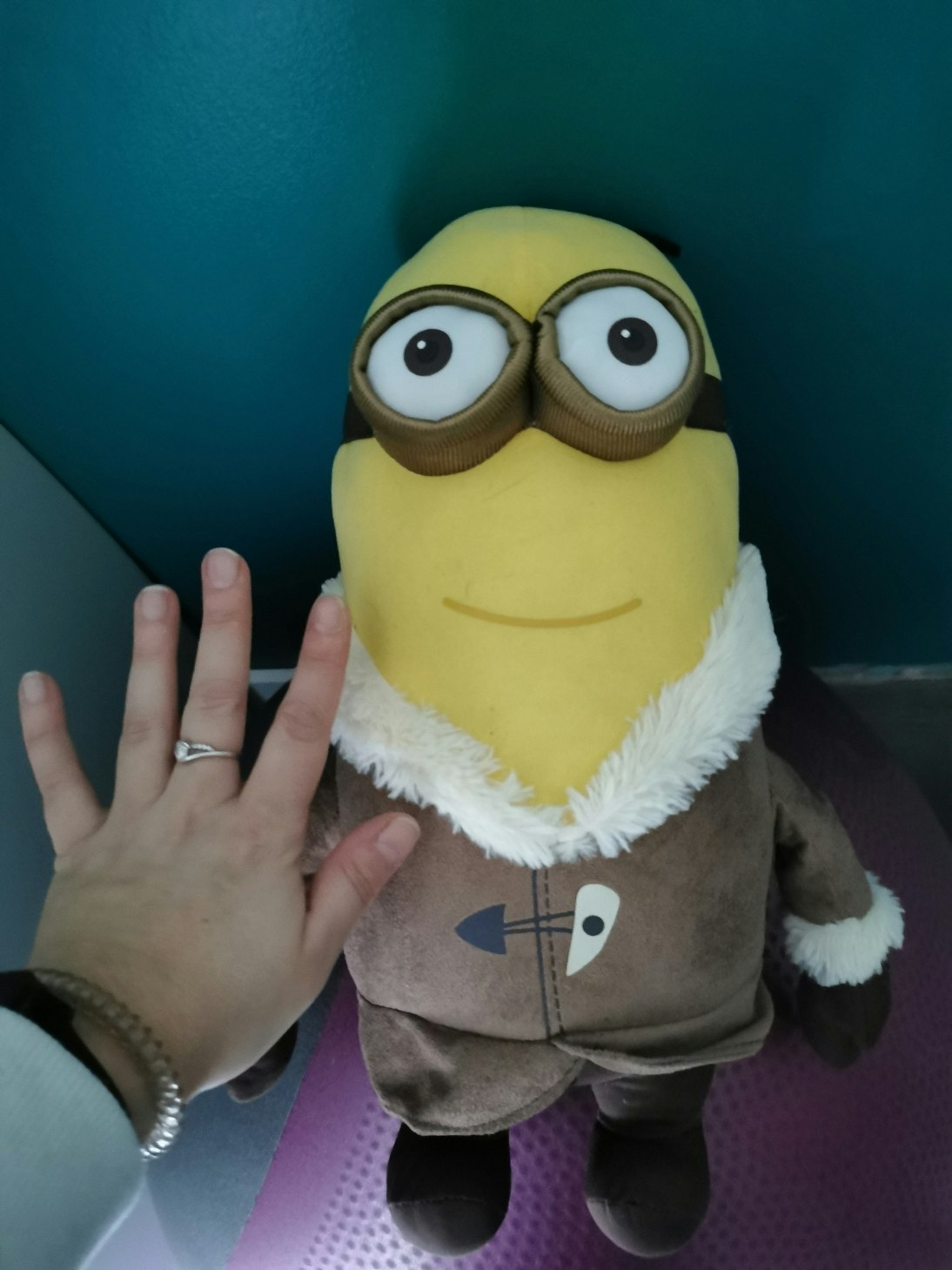 Minion - photo numéro 2