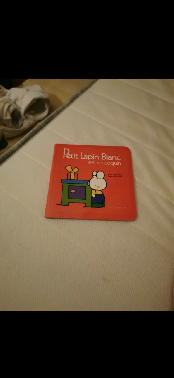 Livre petit lapin