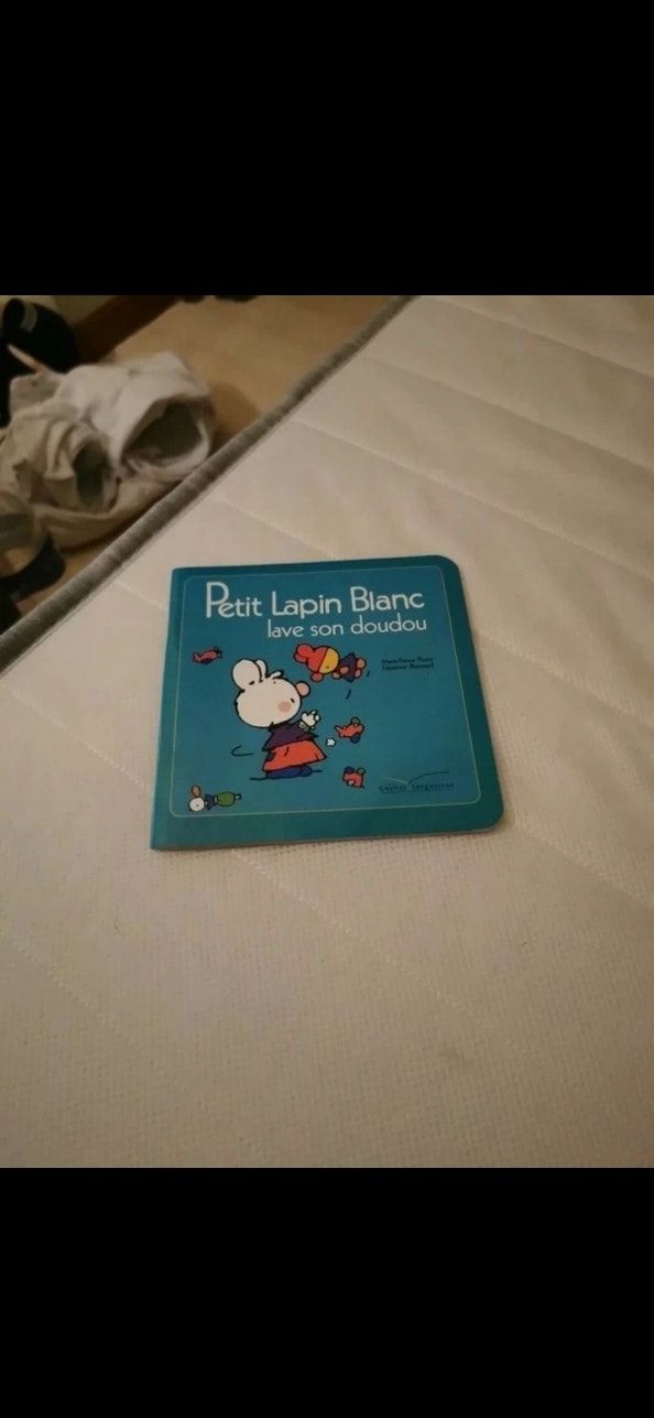 Livre Petit lapin