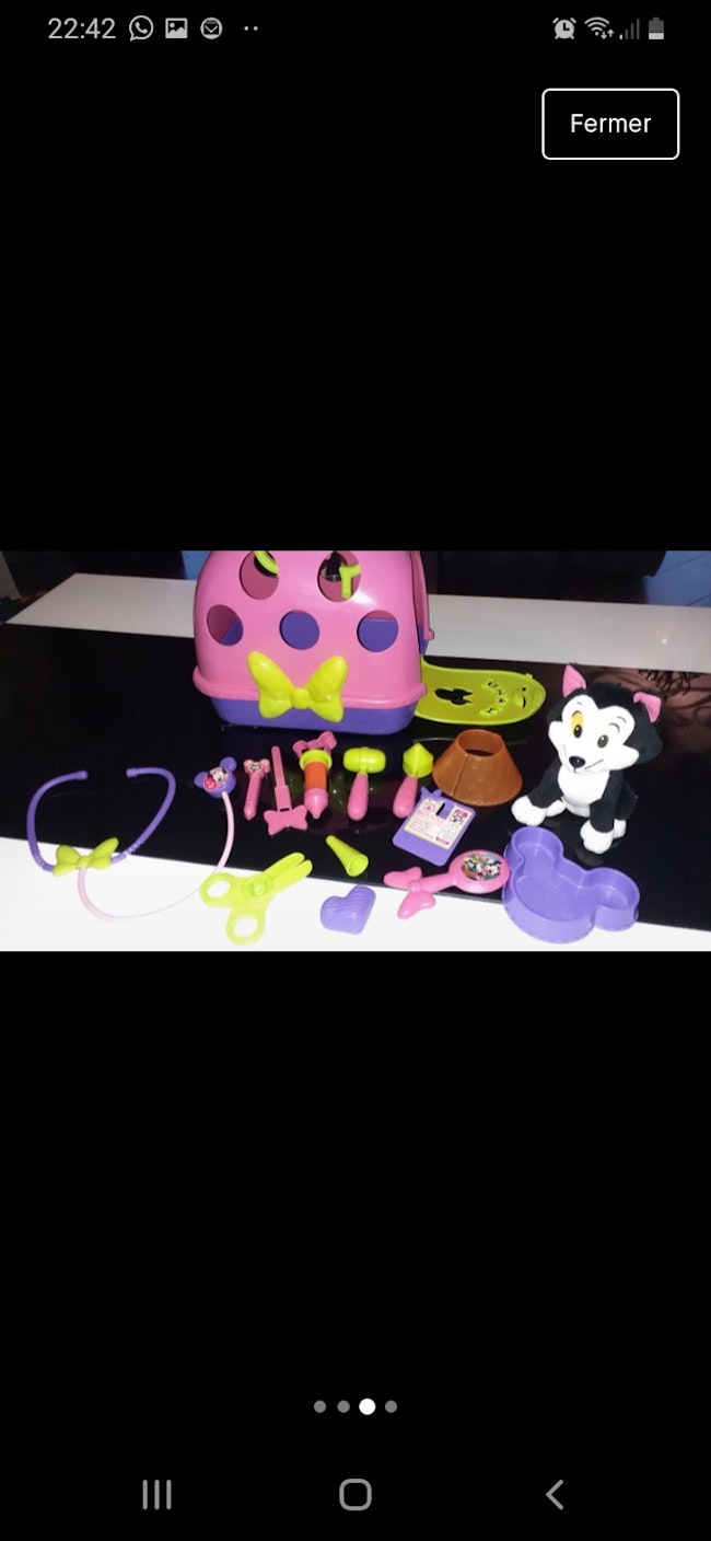 Set Veterinaire Chat Minnie Disney Beebs Achat Vente Bebe