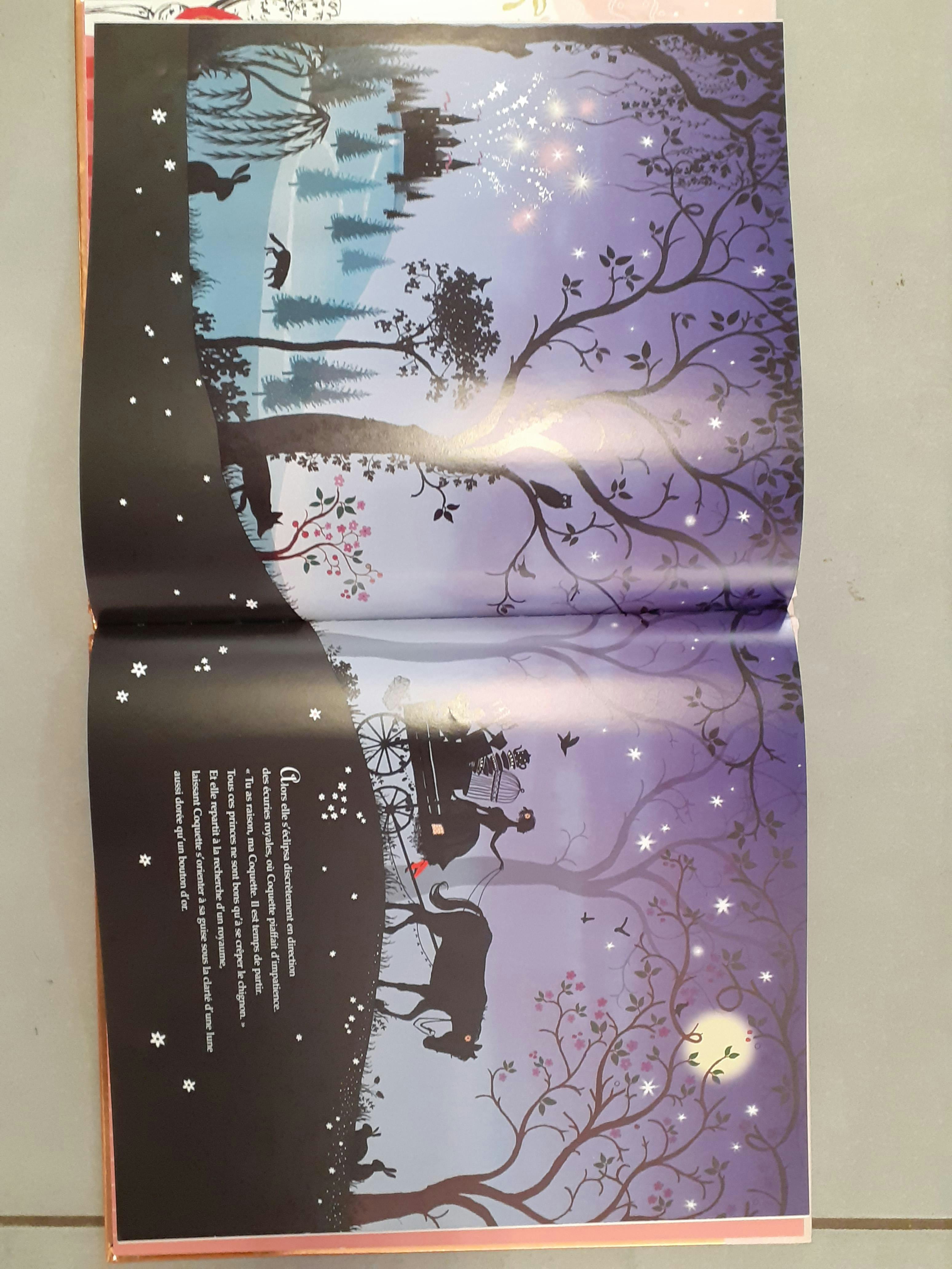 Livre "La princesse qui n'avait pas de royaume" - photo numéro 3