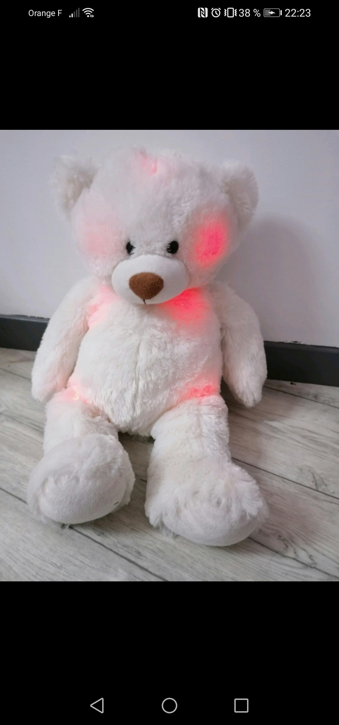 Ours veilleuse - photo numéro 2