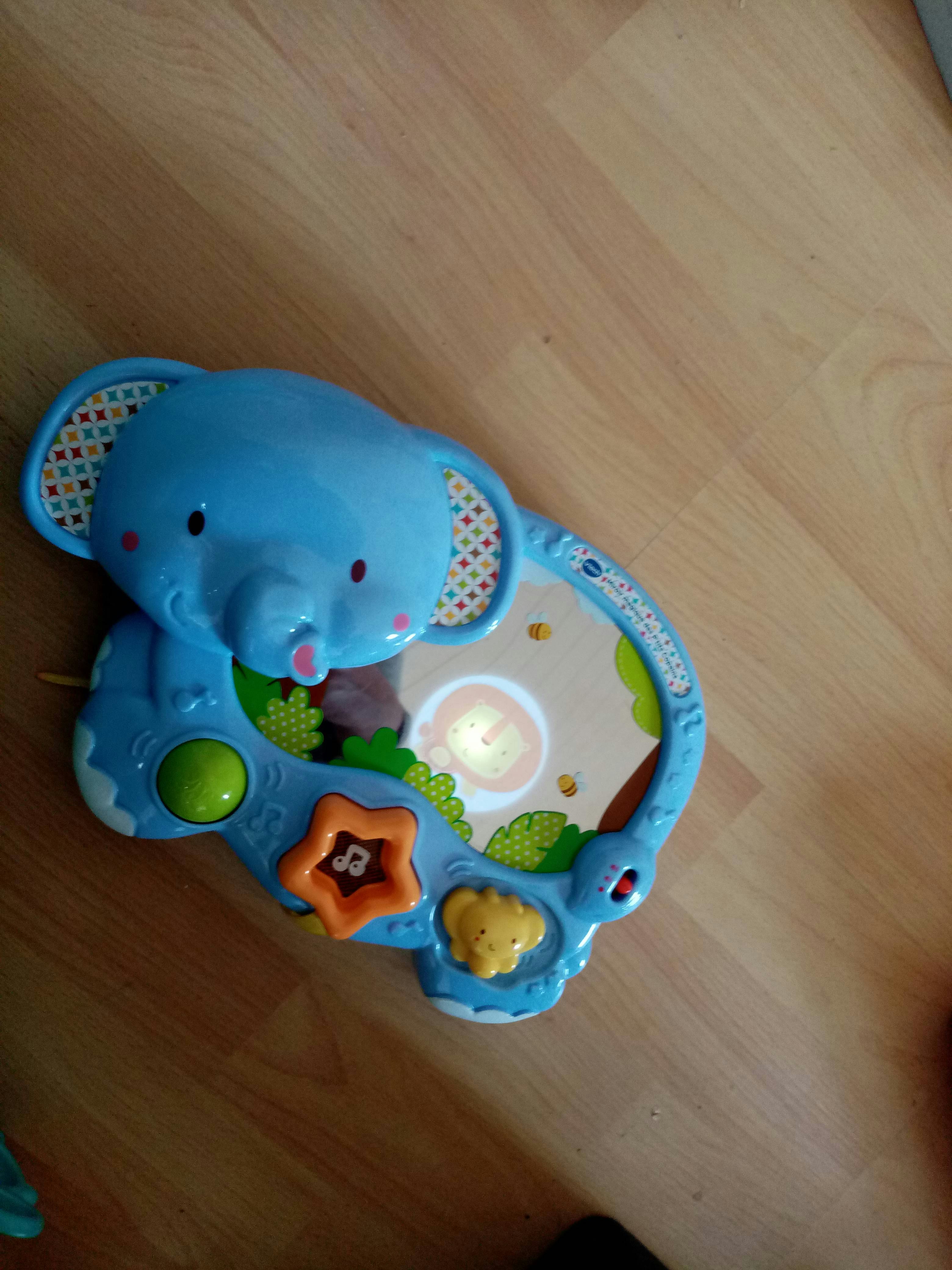 Elephant miroire