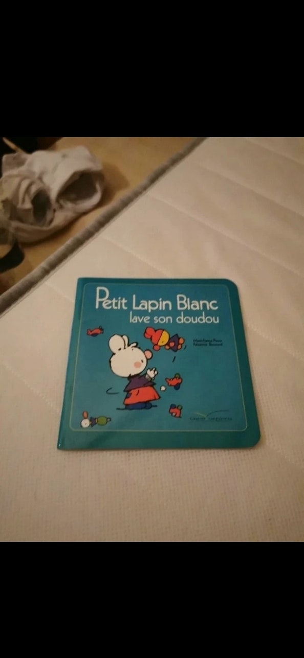 Livre Petit lapin - photo numéro 2