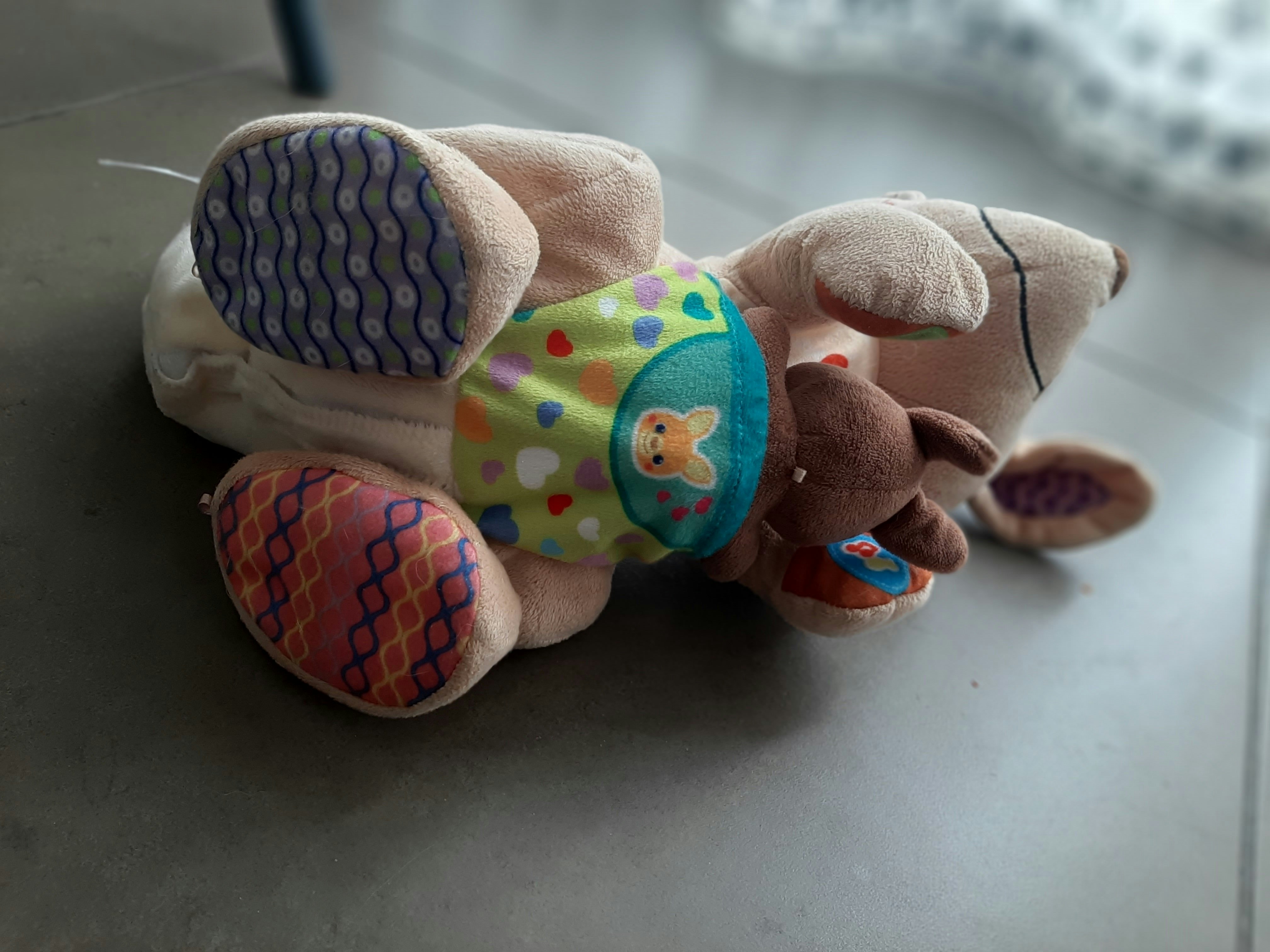 Kangourou suteur - photo numéro 2