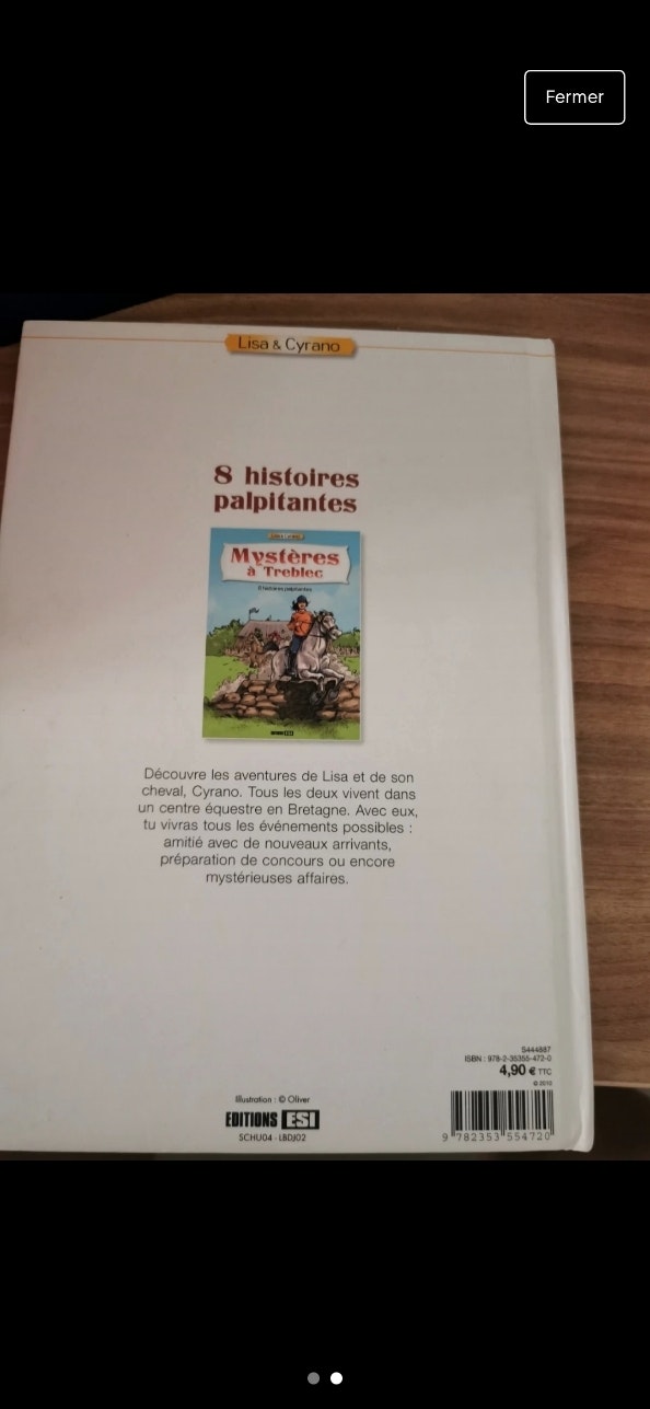 Mystères à treblec - photo numéro 2