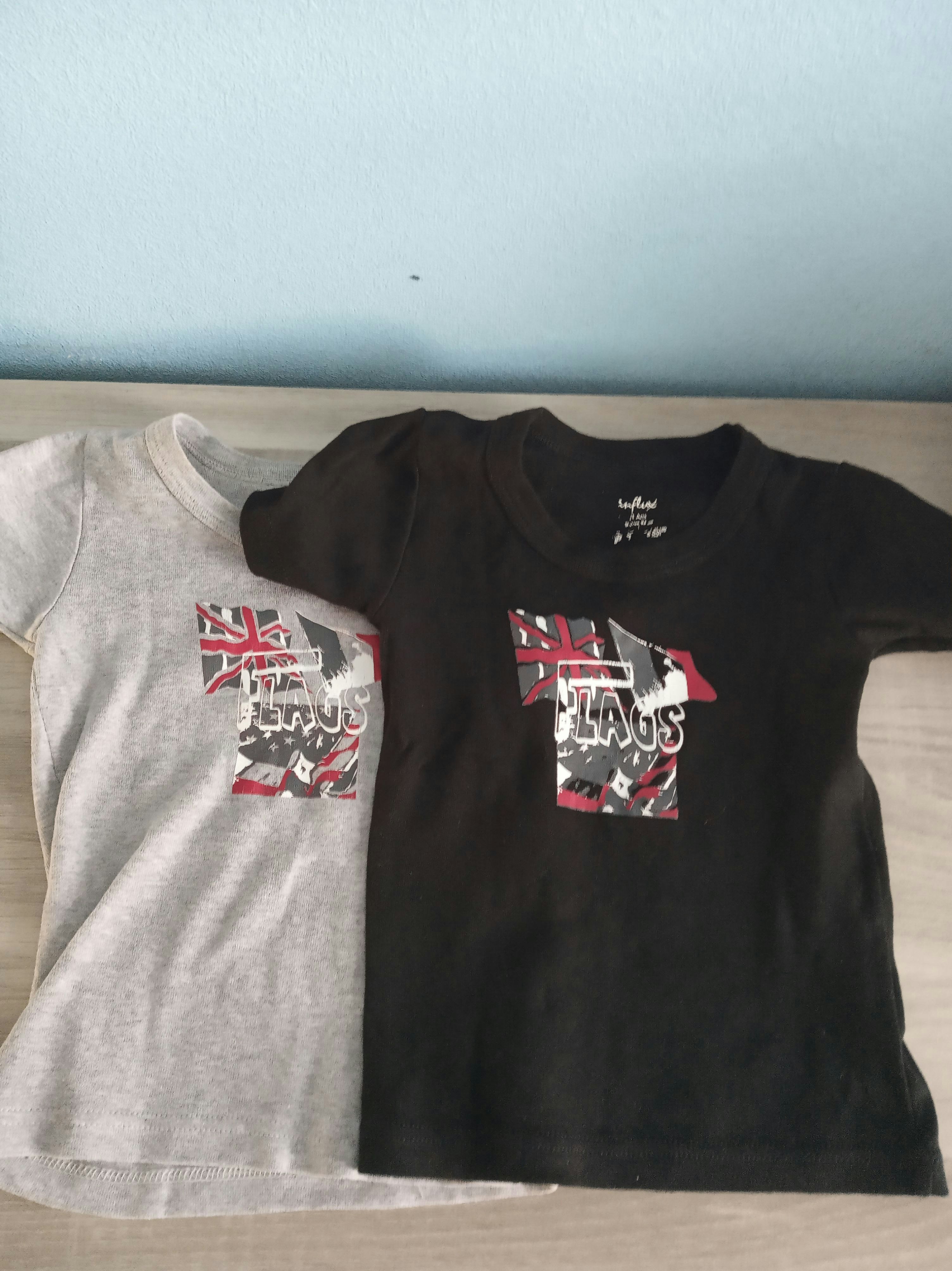 Lot 2 t-shirts garçons