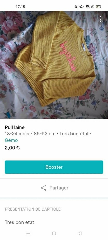 Pull en laine